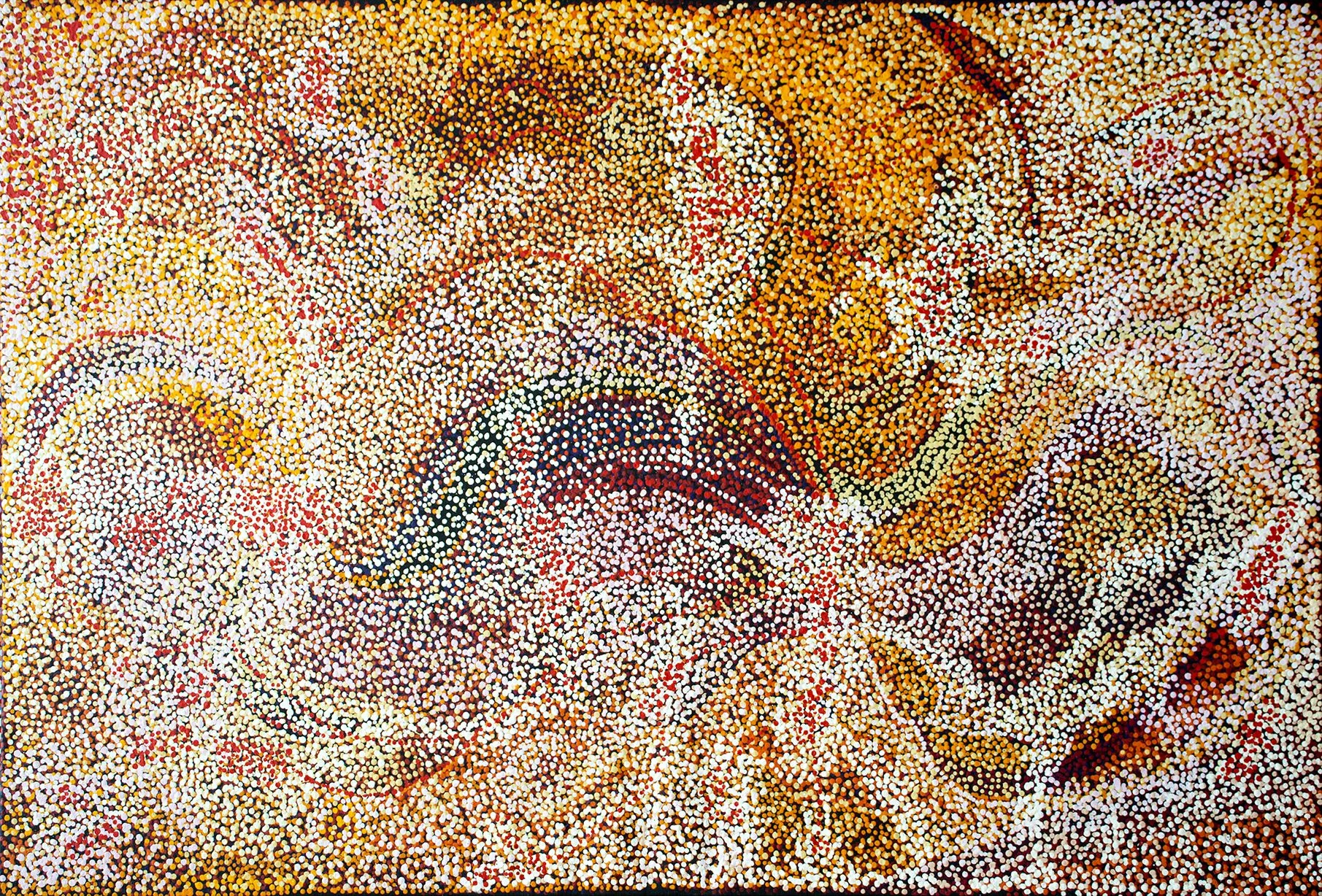 Nyunmiti Burton - Ngayuku ngura - My Country - 152 x 101 cm (sold)