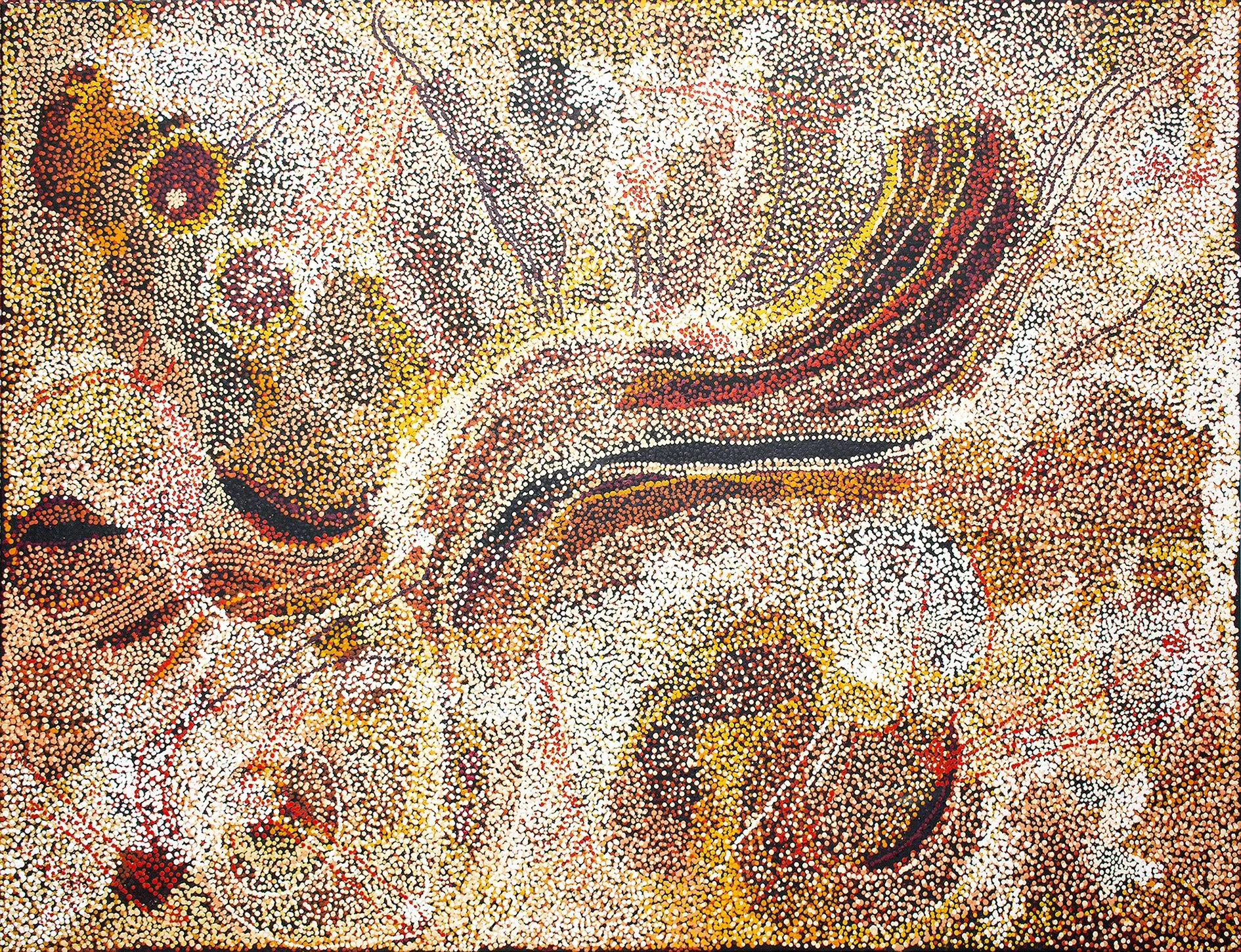 Nyunmiti Burton - Ngayuku ngura - My Country - 198 x 152 cm (sold)