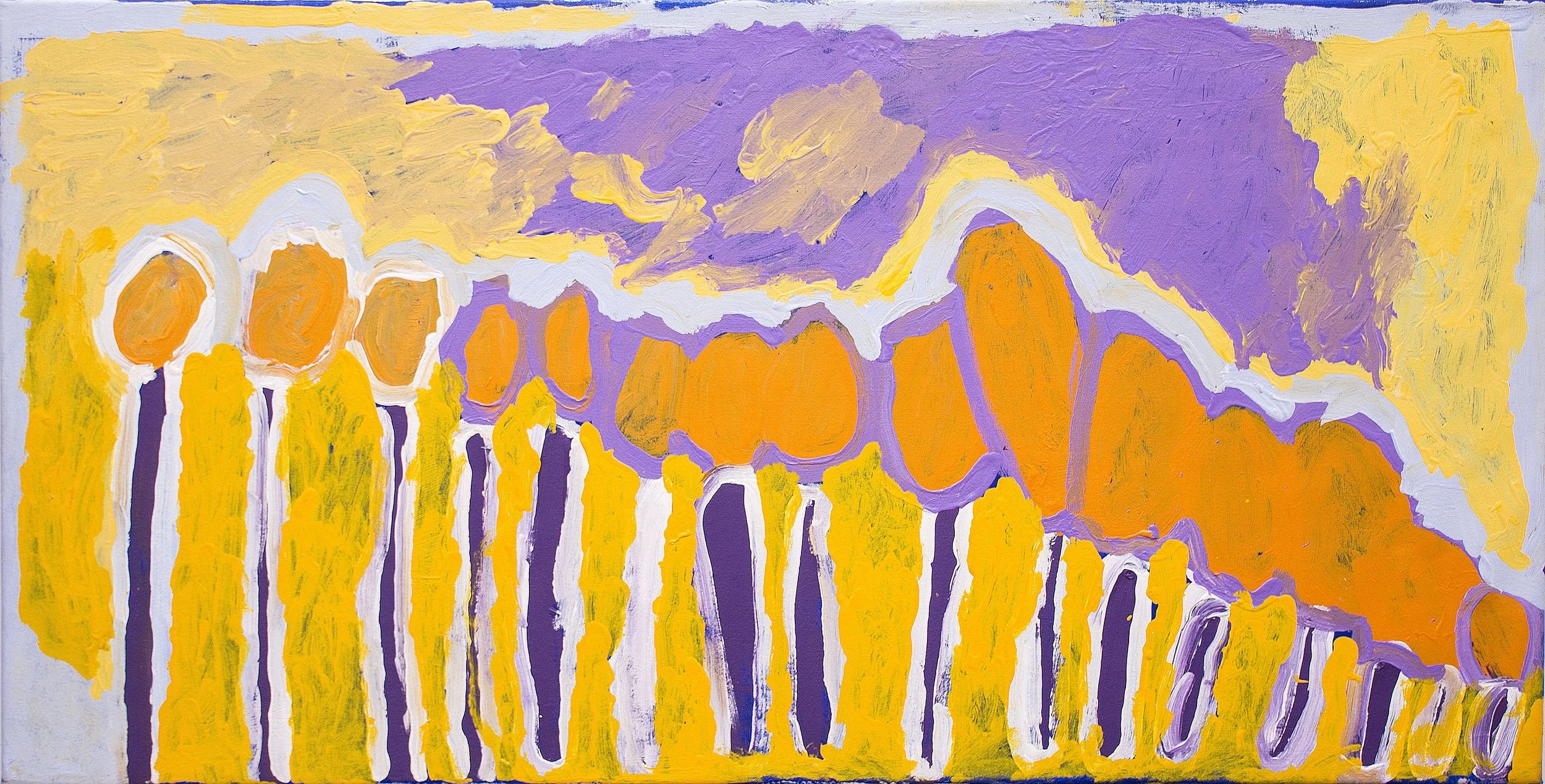 Lisa Uhl - I was born in fitzroy crossing hospital - 120x60cm - 364/17 (sold)