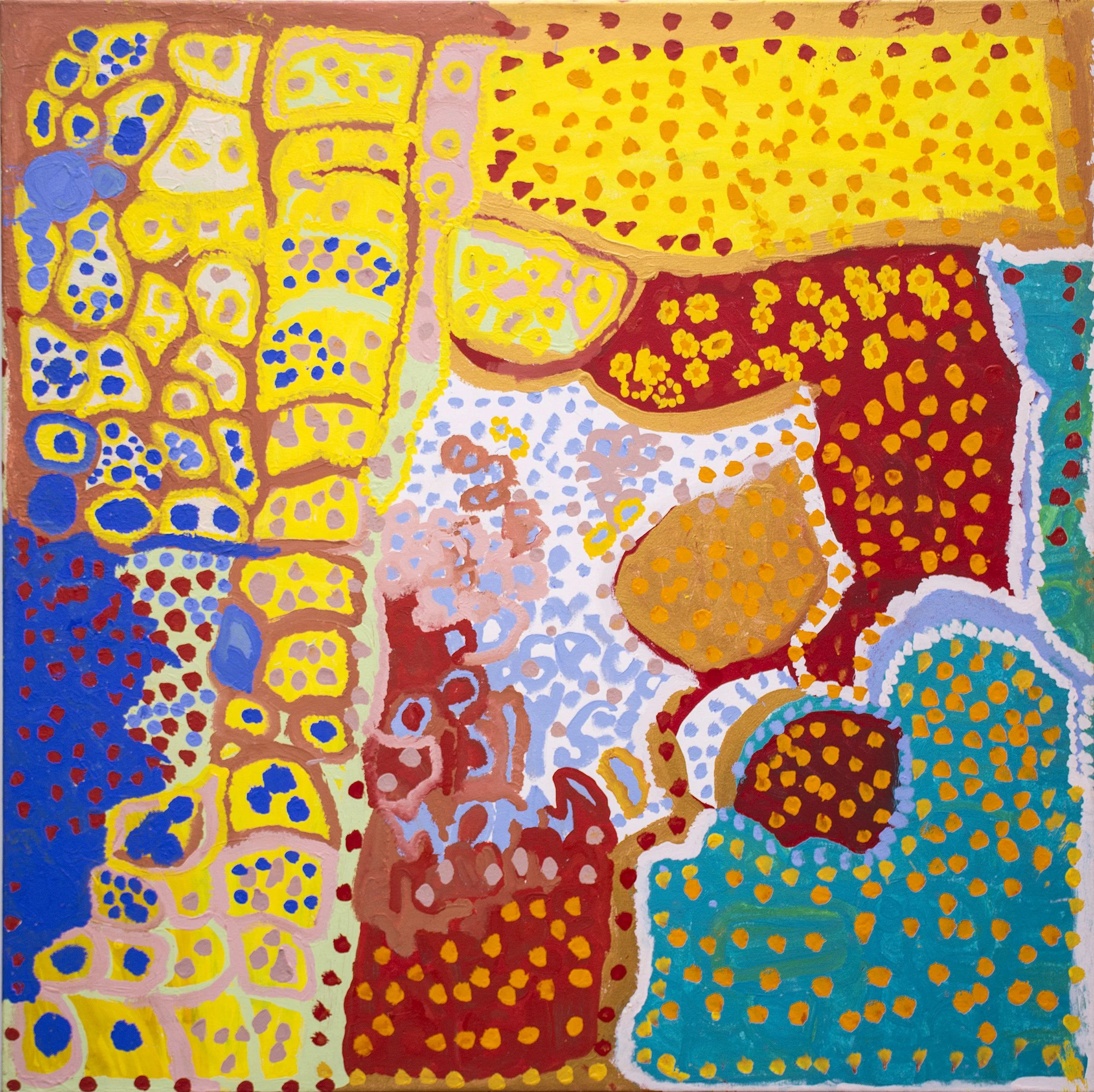 Daisy Japulja - Billabongs - 120x120cm - 345/16 (sold)