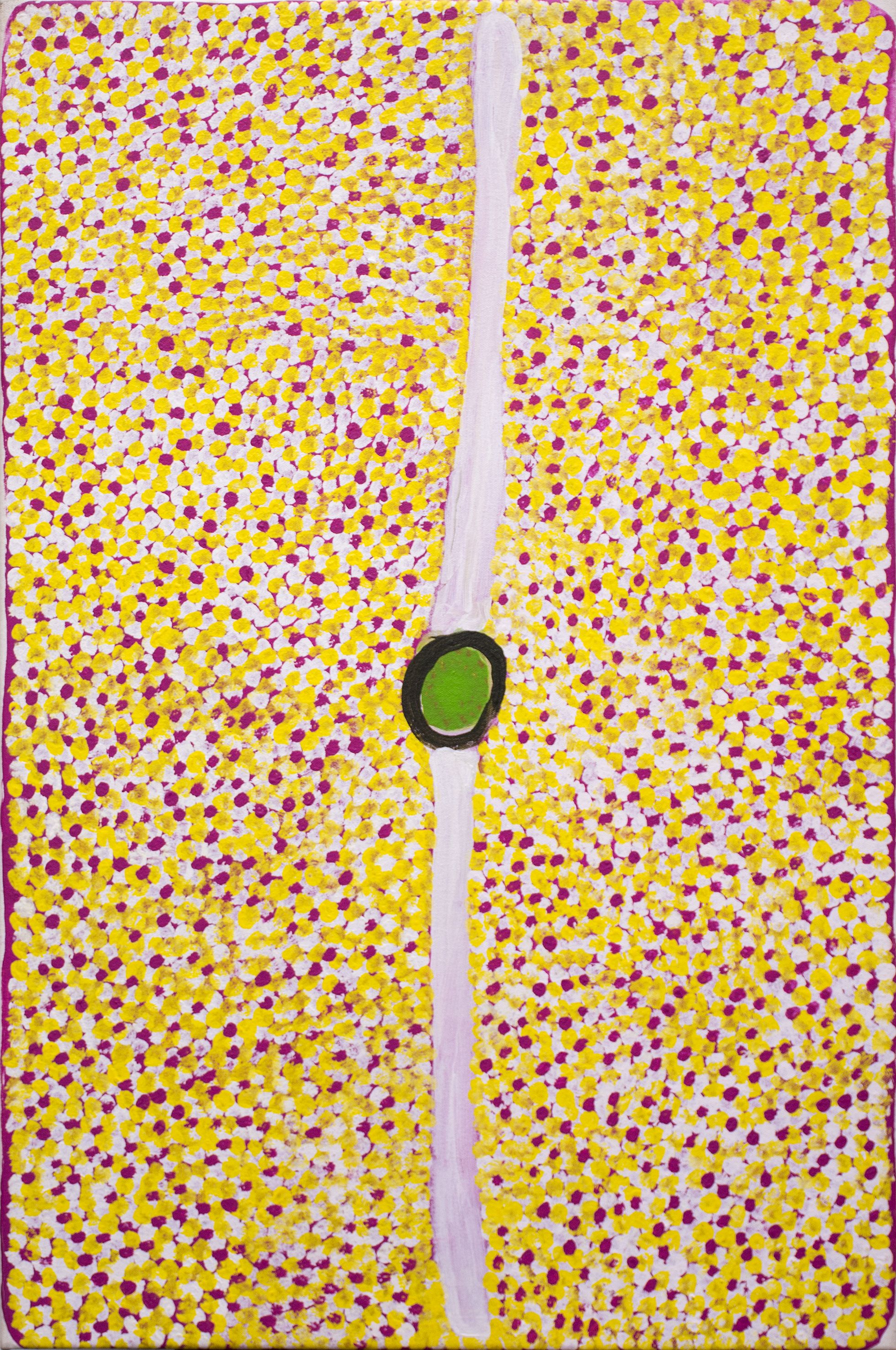 Penny K-Lyons Nyangkarni - Kunajatti- 90 x 60 cm (sold)
