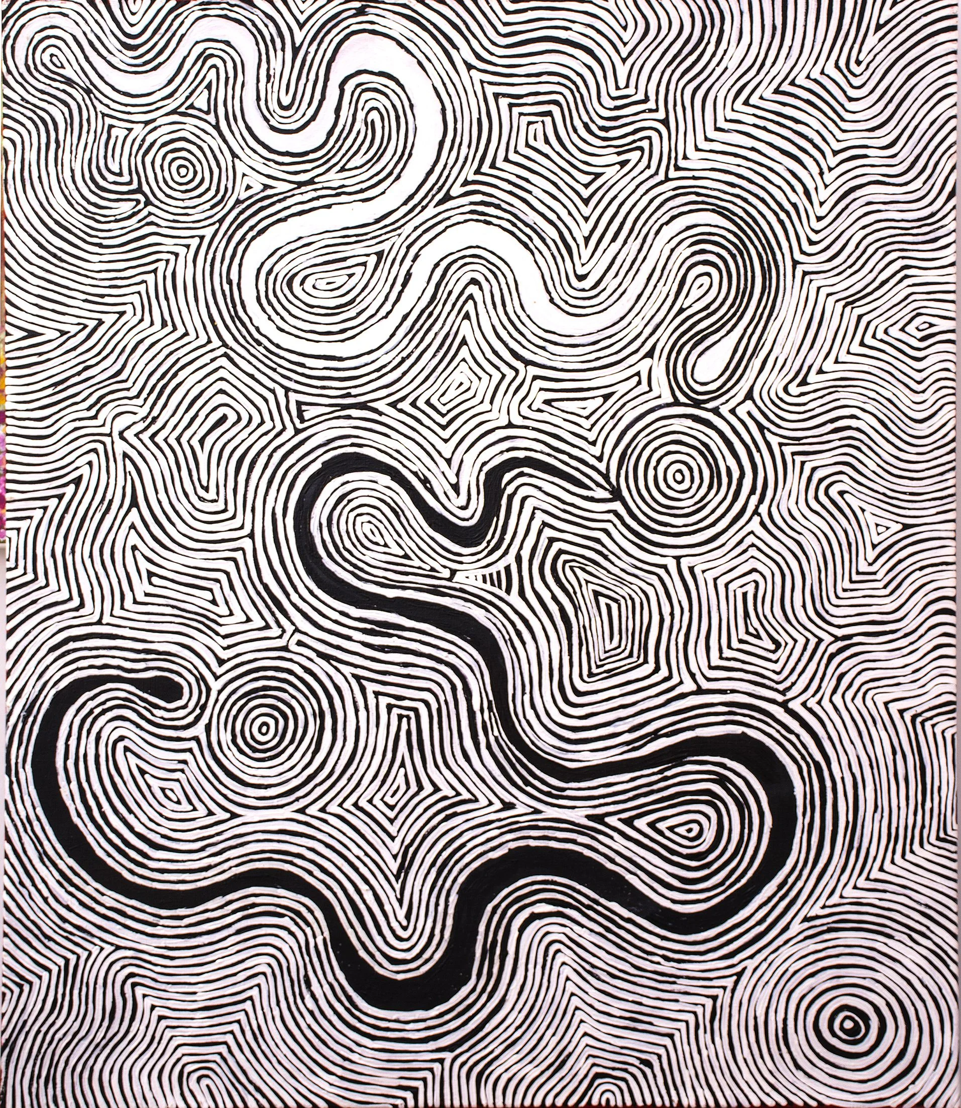 Leston Japaljarri Spencer - Warna Jukurrpa (Snake Dreaming)