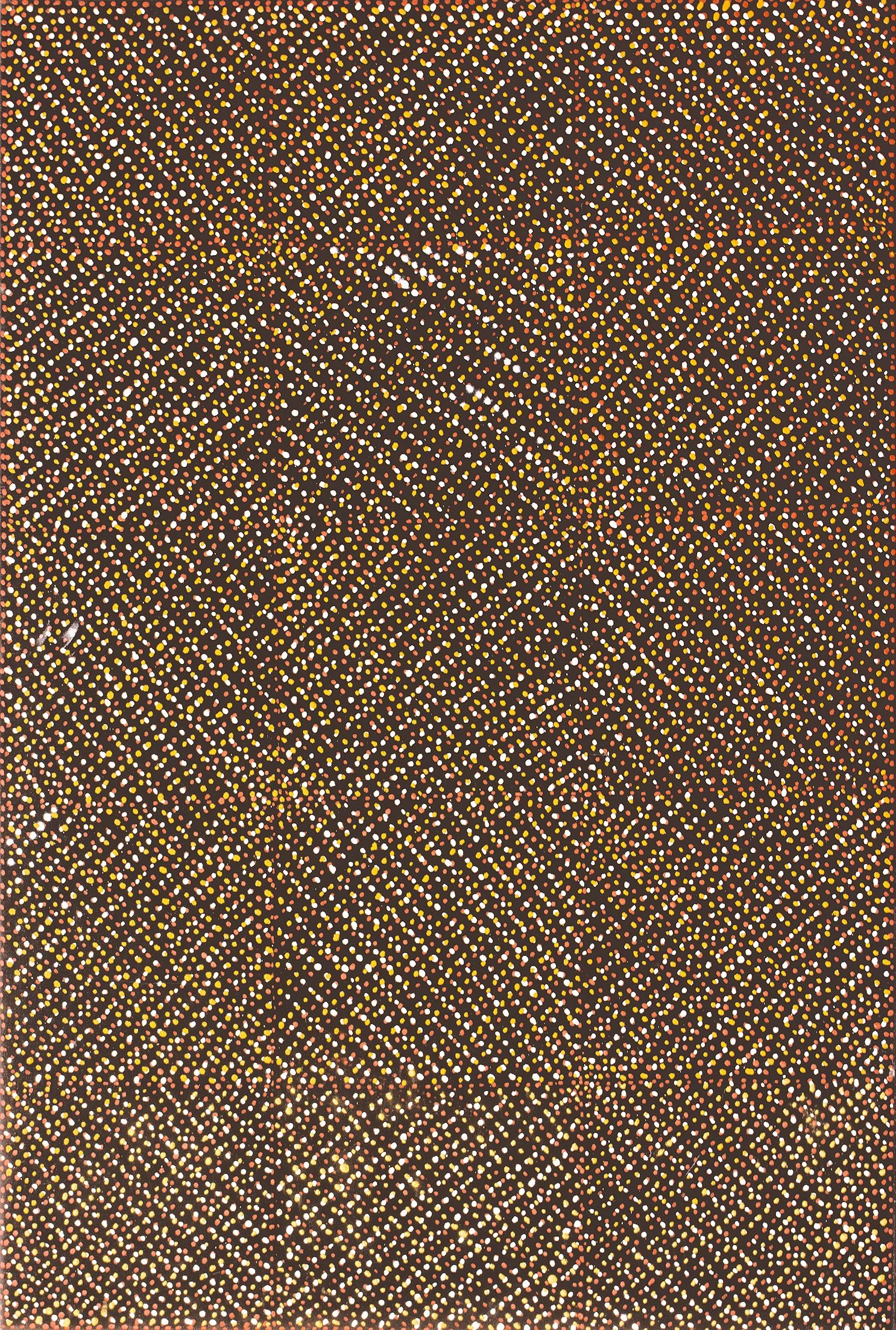 Diane Tipungwuti - Pwoja Jilamara - 120 x 80 cm - 17-124 (sold)