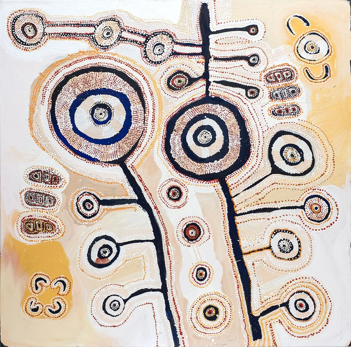 Tuppy Ngintja Goodwin - Antara - 150cm x 150cm - 188-18