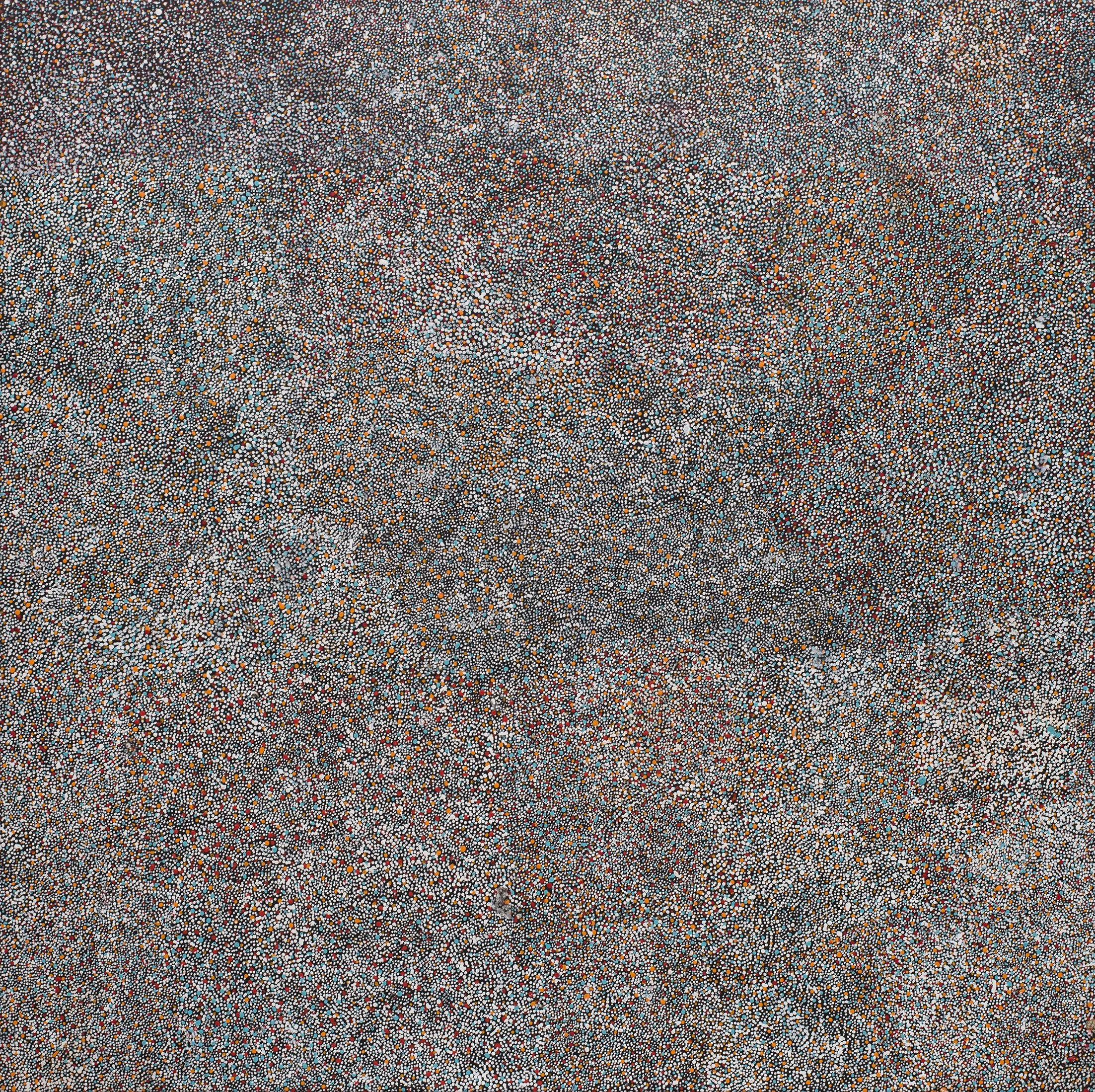 Gladys Kemarre - Bush Plum - 90 x 90 cm - 16B030b