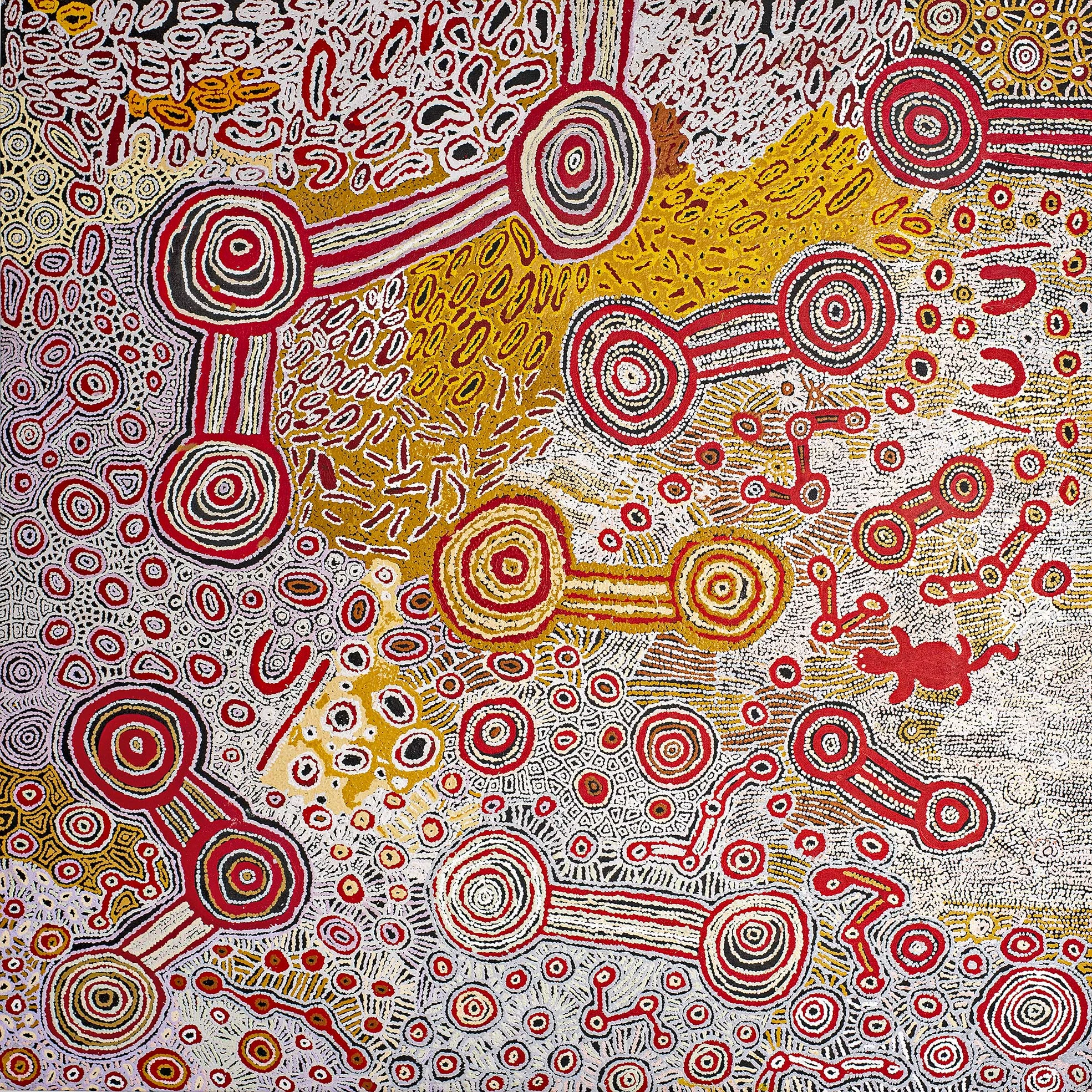 Watarru collaborative - Ngura tjuta- 200 x 200 cm - 12167