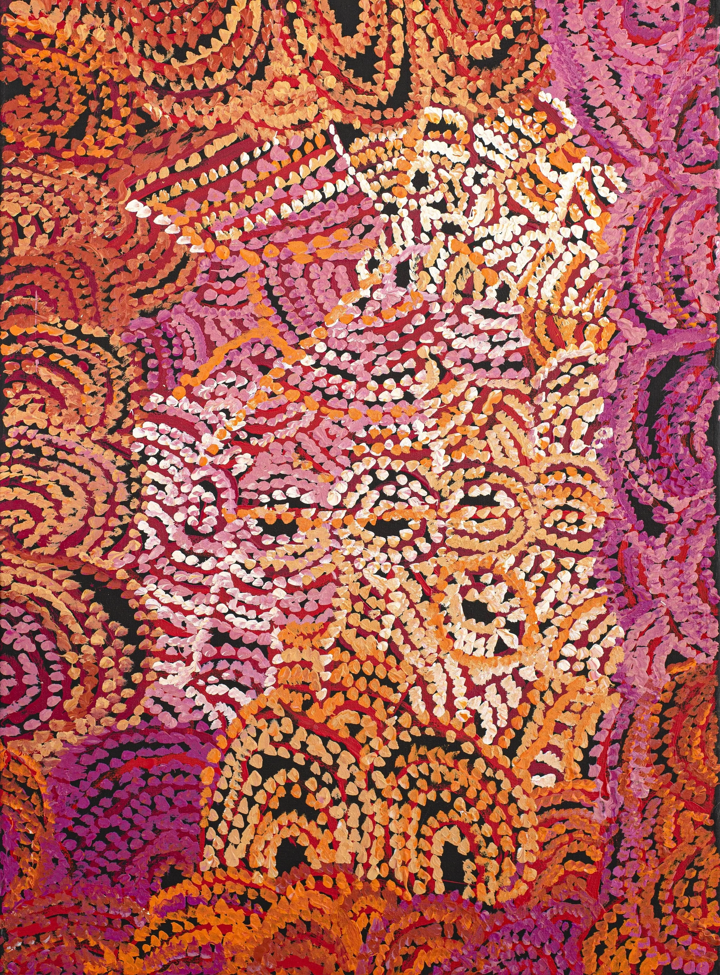 Emily  Cullinan (1952) - Ananyi Ngura (Traveling Country) - 91 x 67 cm - 465-23