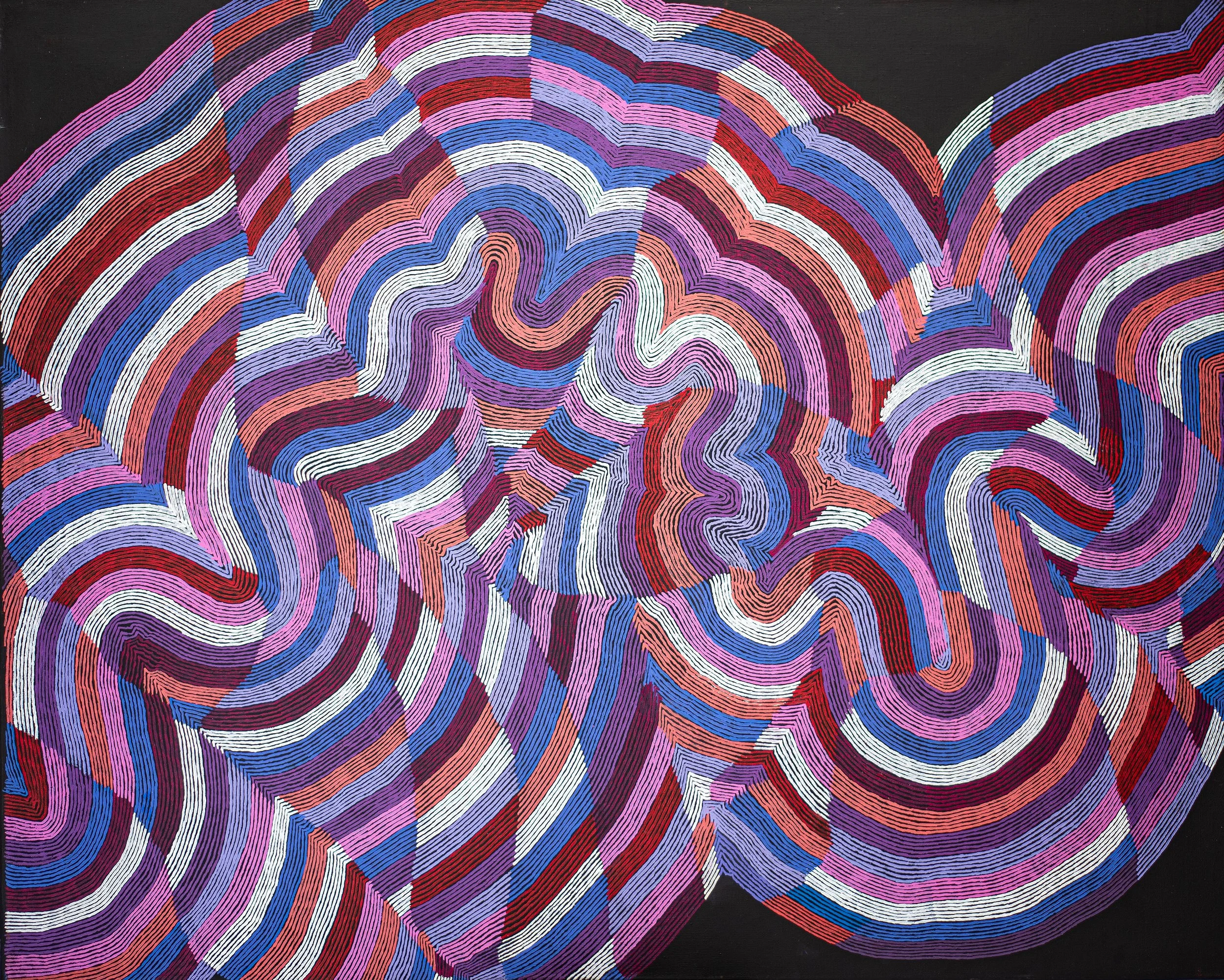 Flora Nakamarra Brown - Mina Mina Jukurrpa (Mina Mina Dreaming) - 152 x 122 cm- 411/25ny