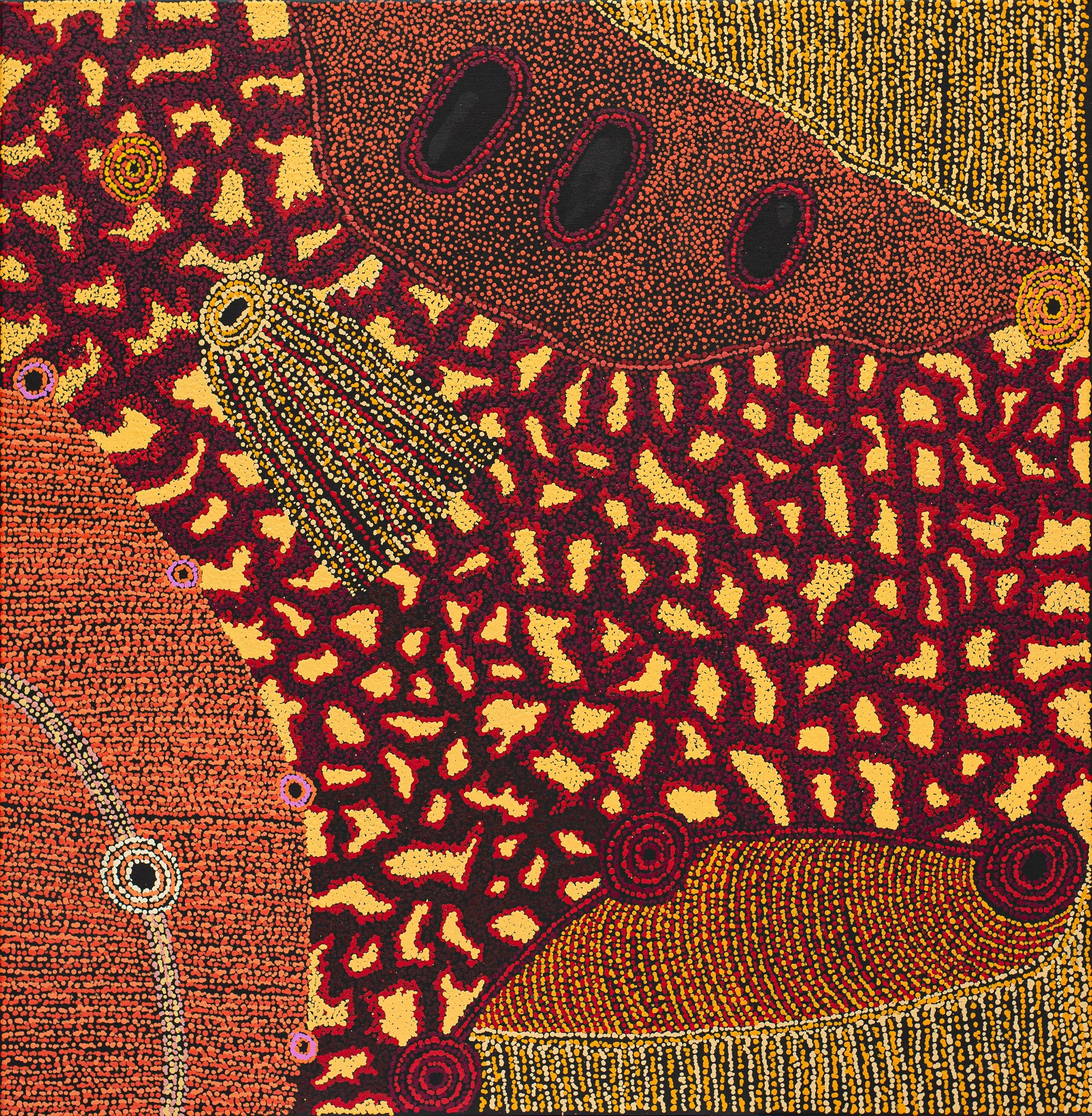 Carol  Young - Waru Dreaming - 105 × 103 cm - 25-212