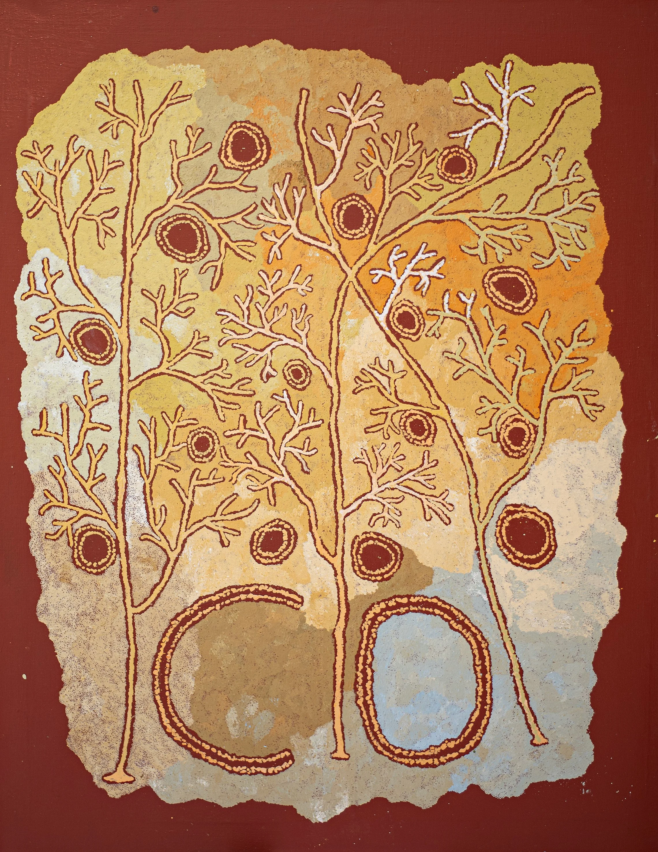 Betty Mula - Punu tjuta (many trees) - 152x122cm - 751-24