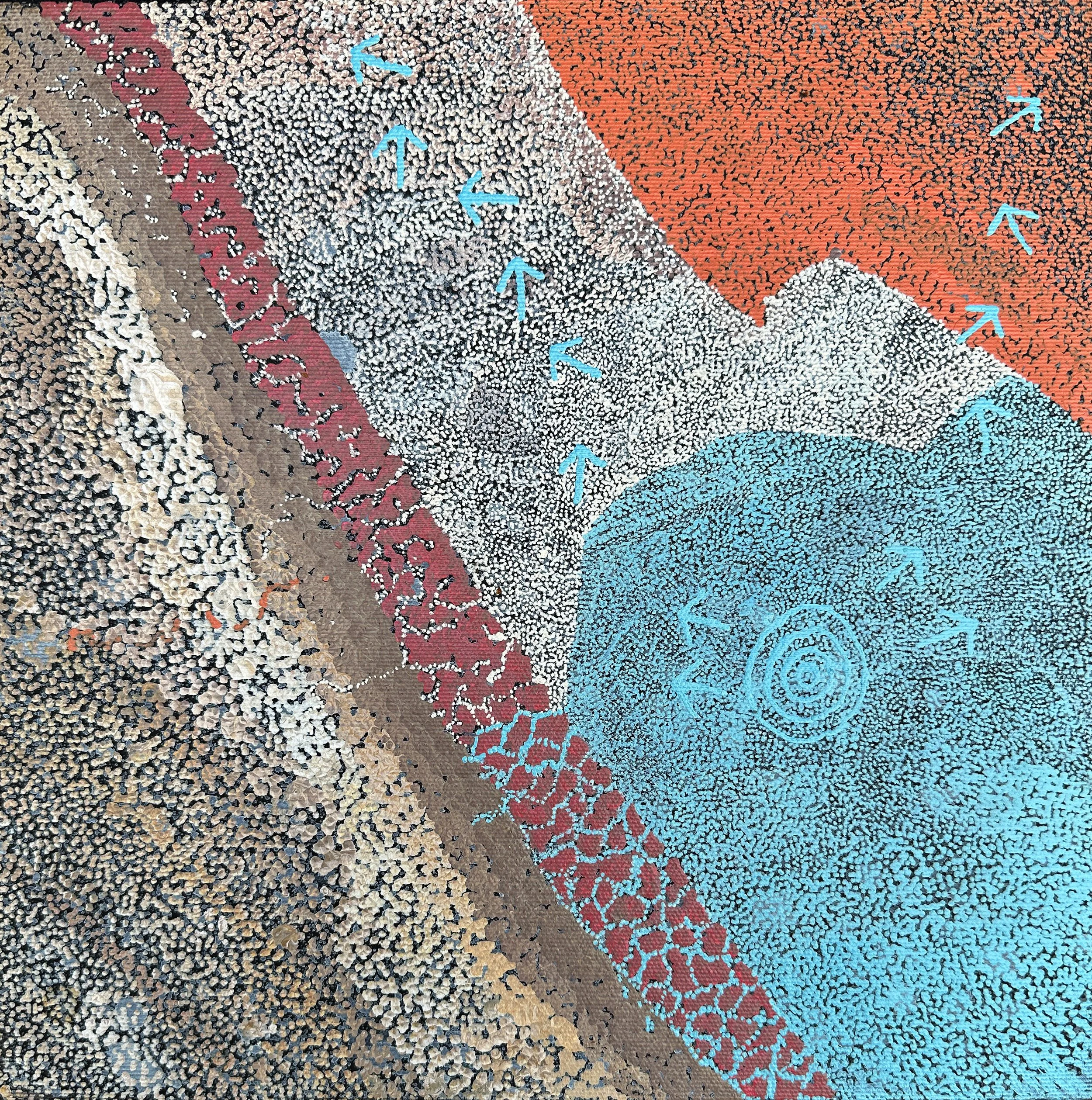 Lloyd Jampijinpa Brown - Yankirri Jukurrpa (Emu Dreaming) - Ngarlikirlangu - 30 x 30 cm - 1914/25