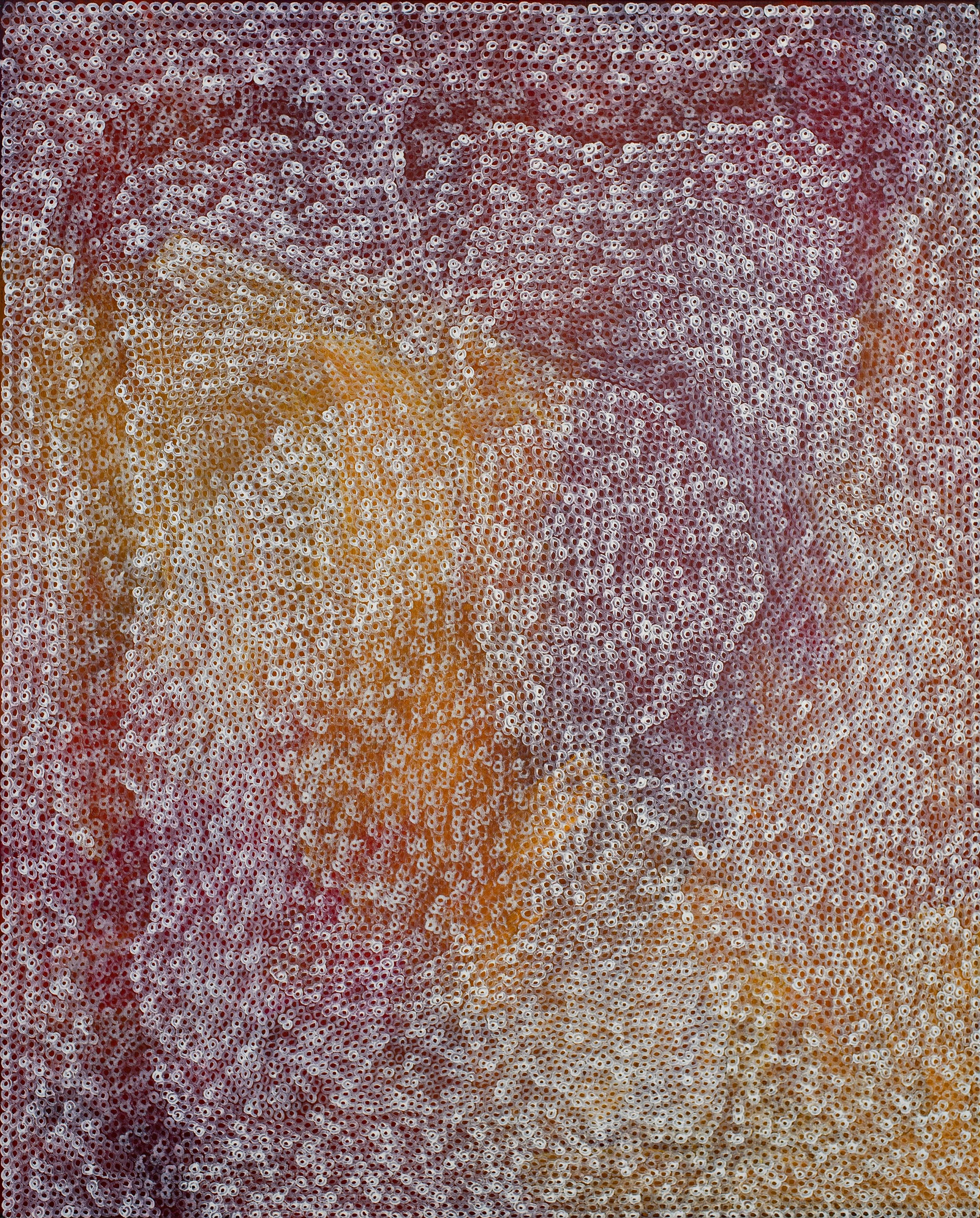 Amy Yilpi - Maku - 152x122cm - 274-26