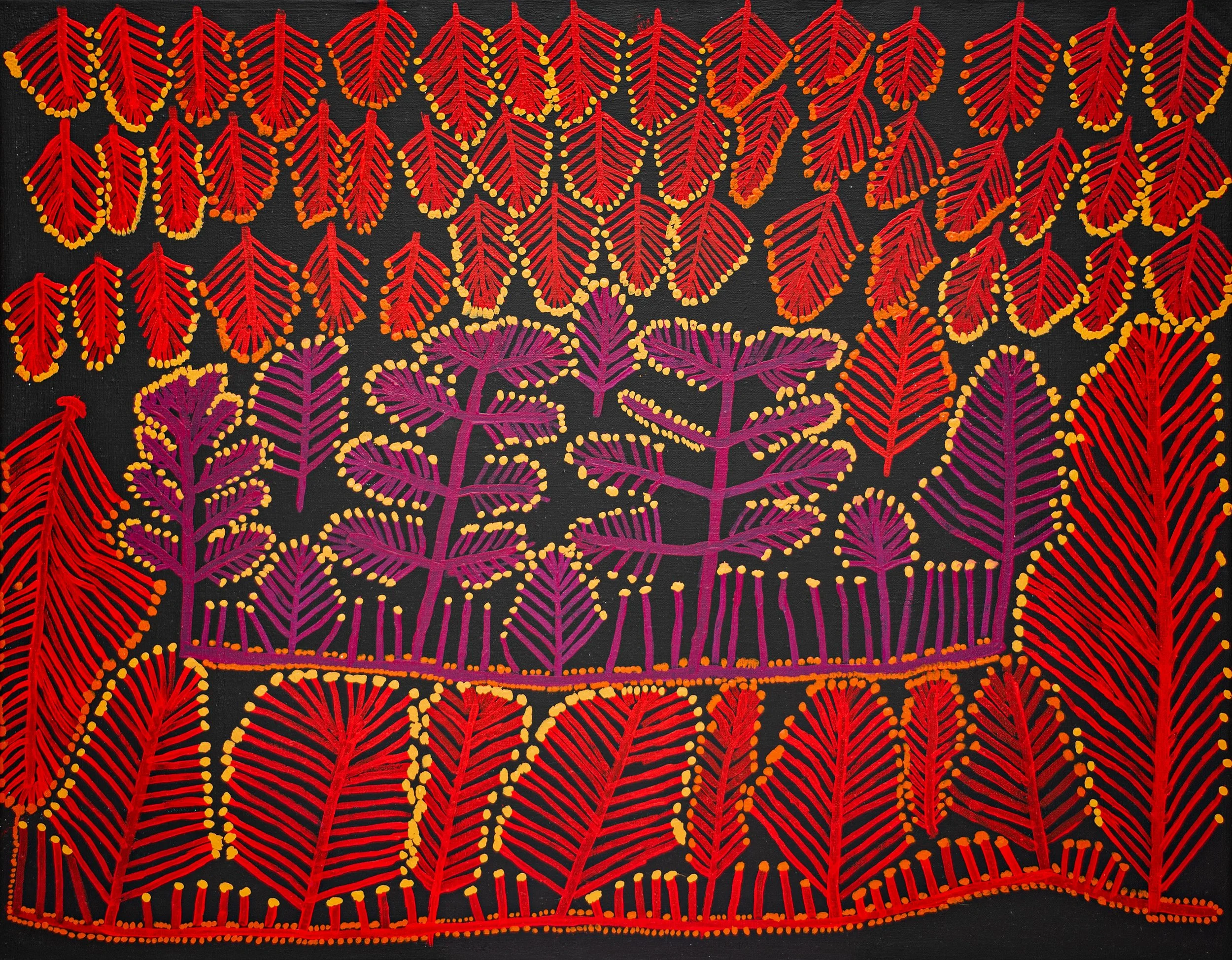 Ian Rictor - Wanari munu Kanturangu Tjuta - 110 x 85 cm - 25-457