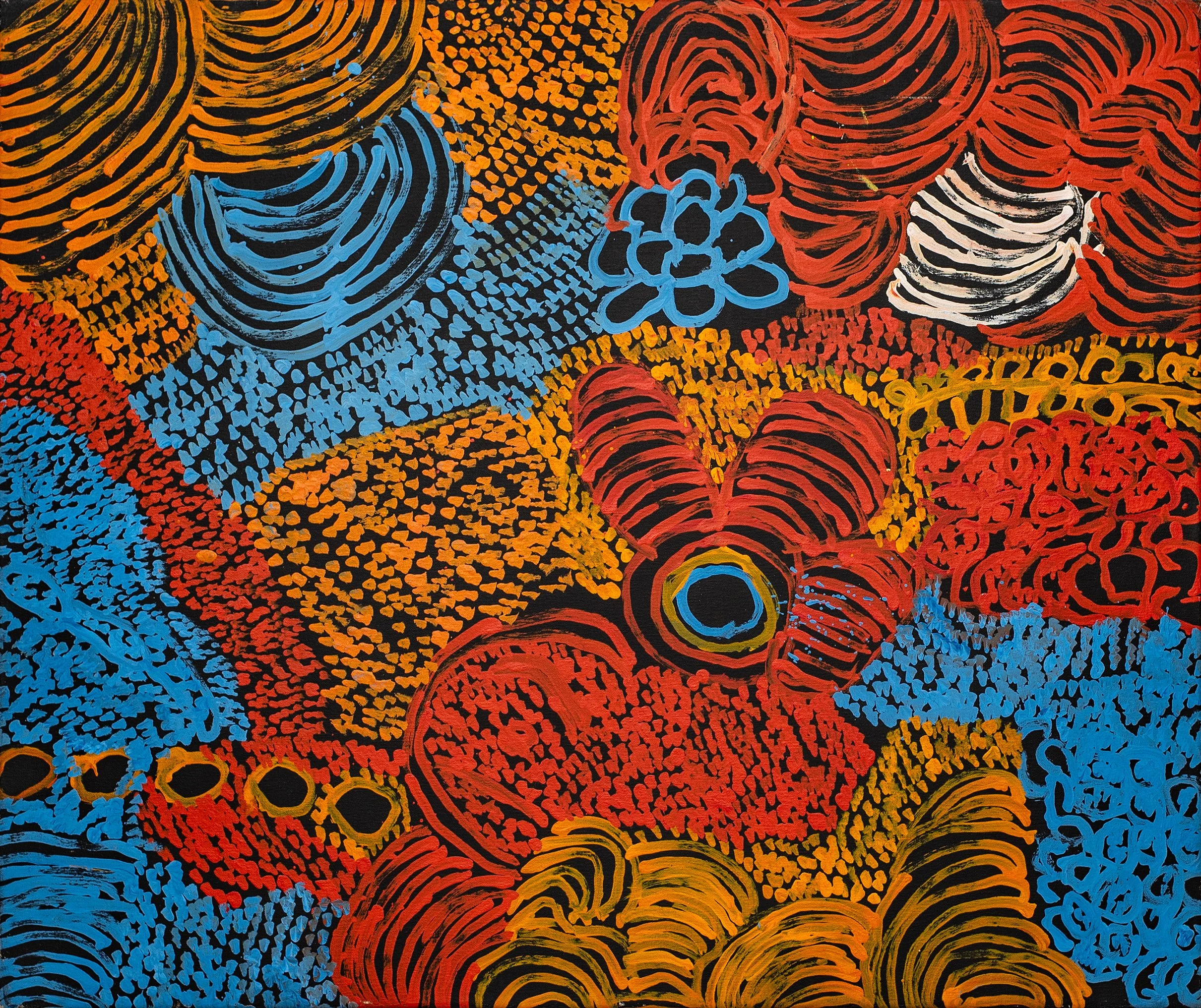 Eileen Yaritja Stevens - Piltati - 105 x 89 cm - 08754