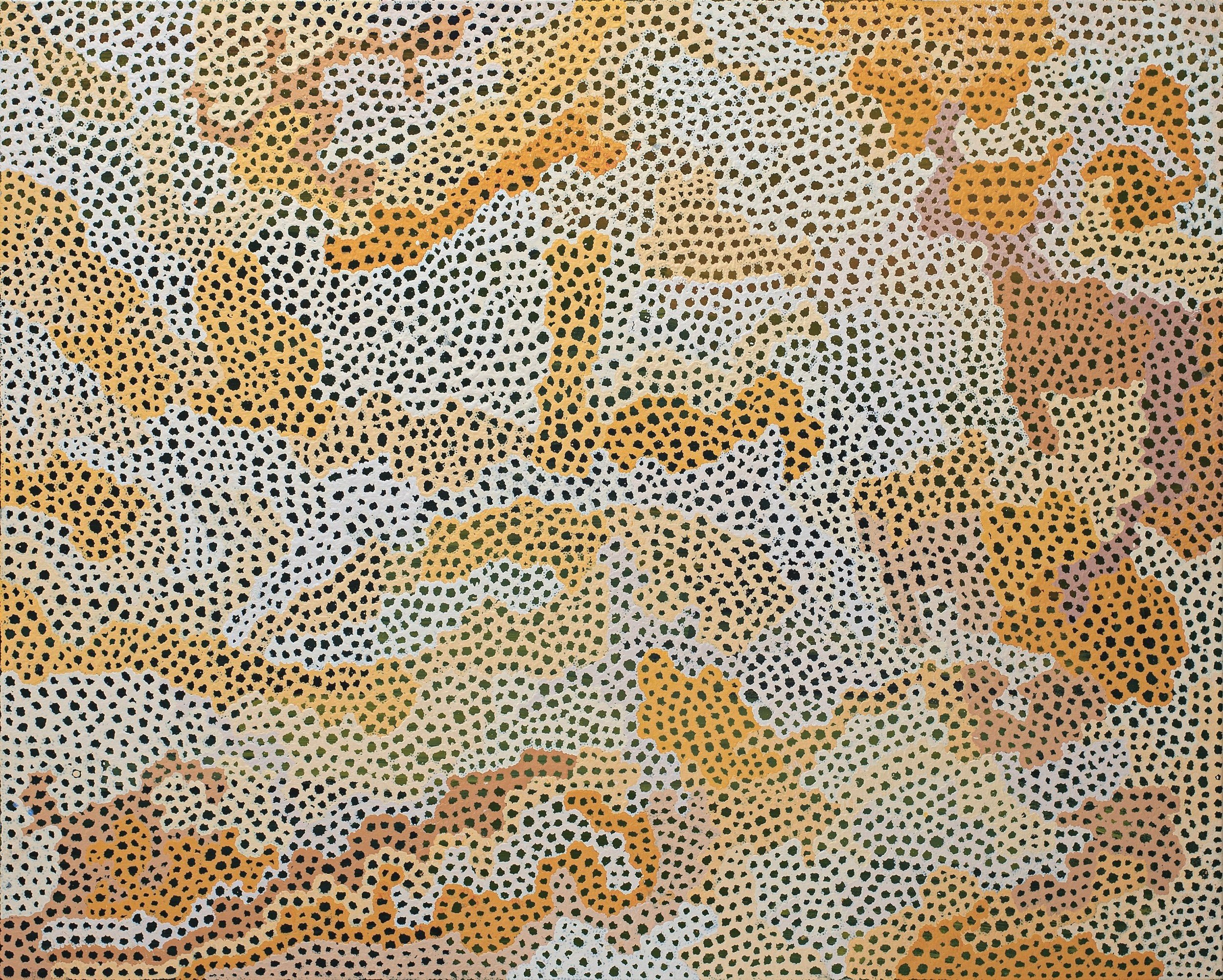 Rhonda Young - Salt Lakes - 152x122cm - 788-24