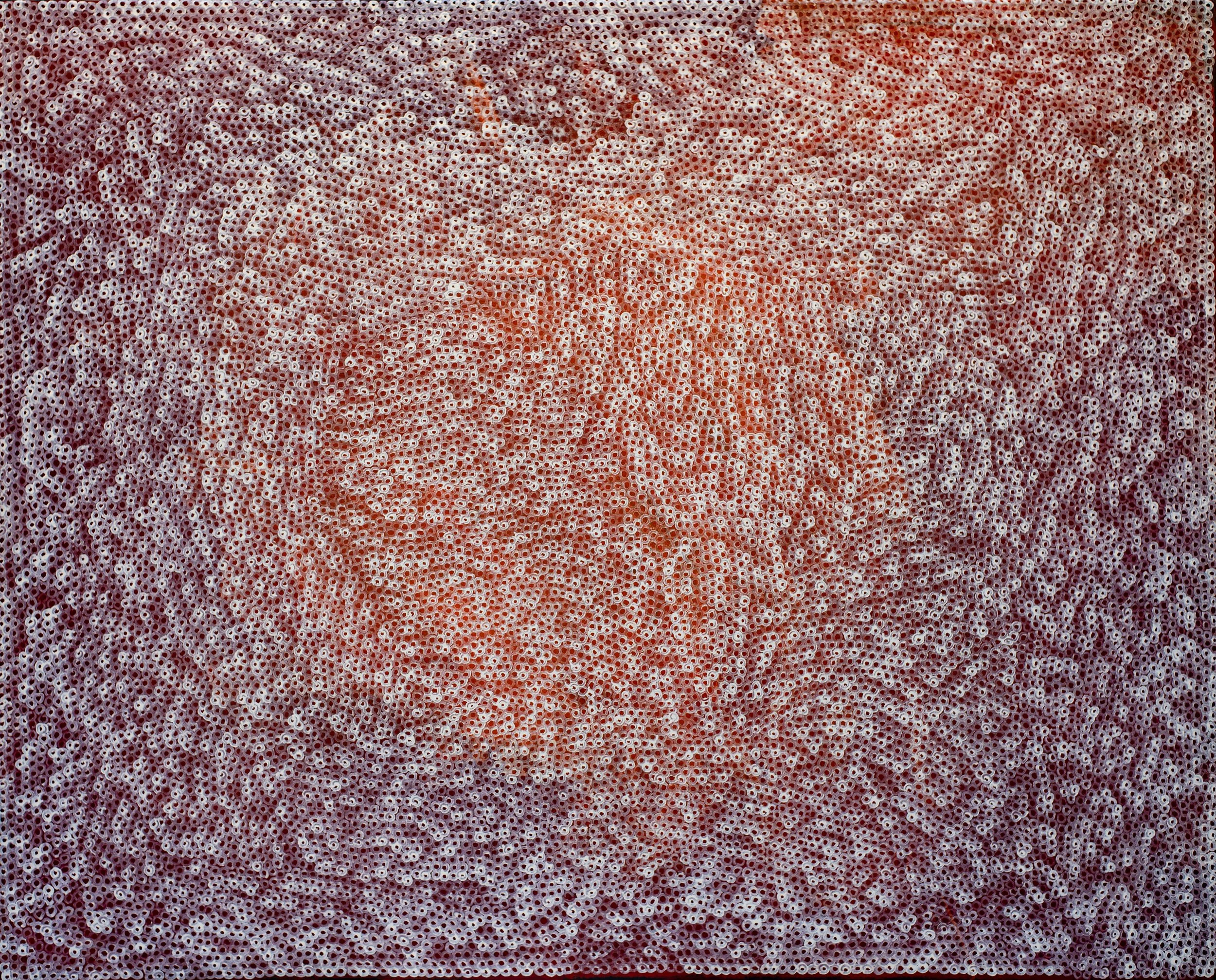 Amy Yilpi - Maku - 152x122cm - 649-25
