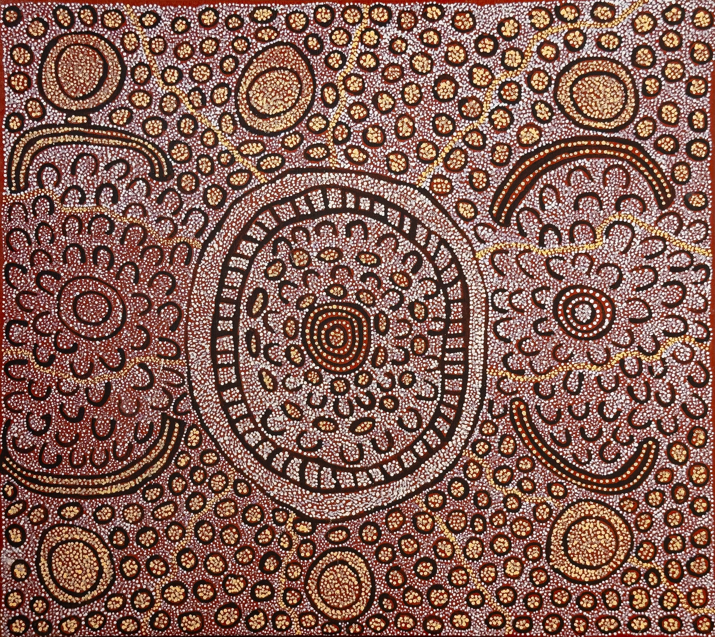 Joy Gibson Napaltjarri - Mukula - 61 x 55 cm - JN2306015