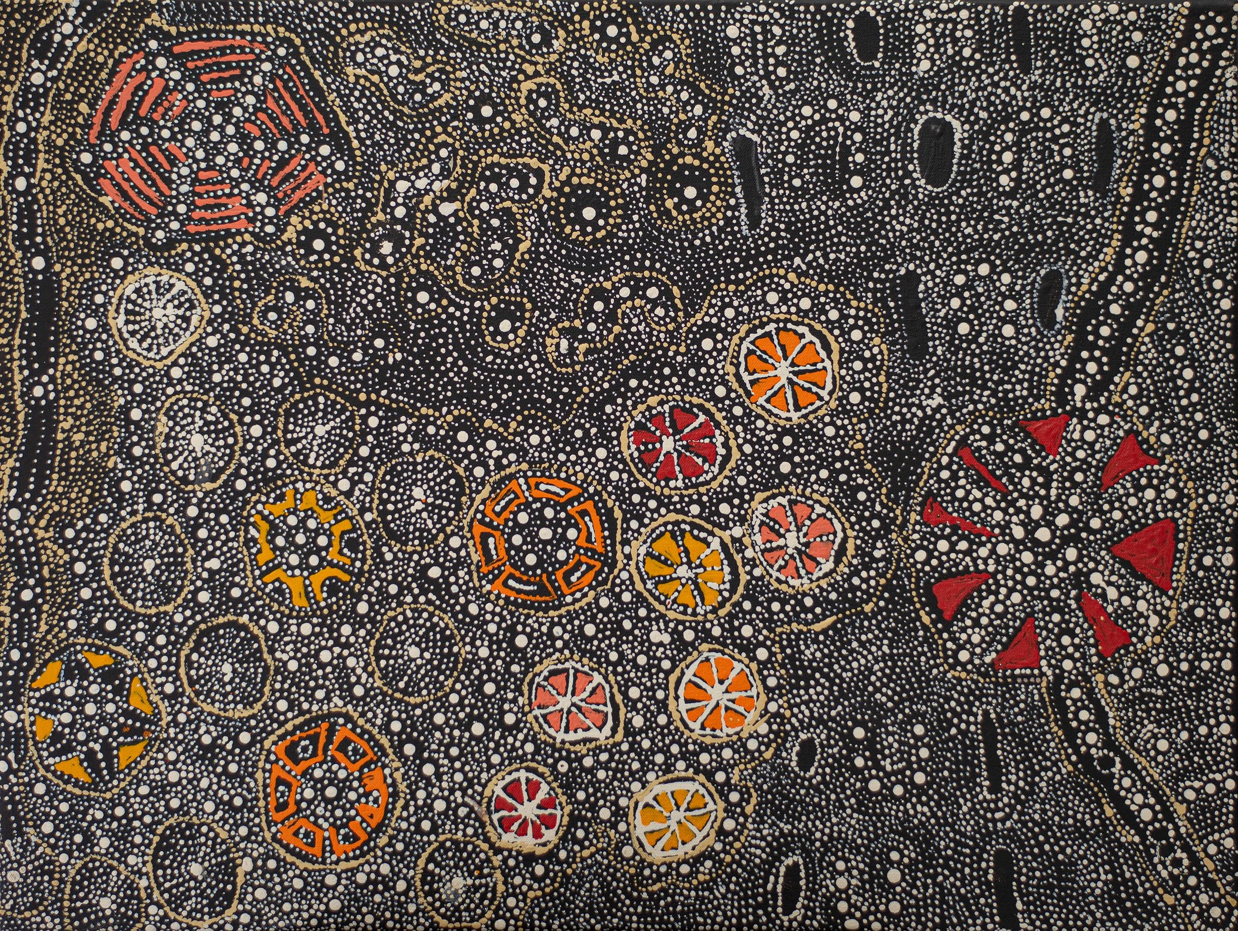 Hilda Nakamarra Rogers - Lukarrara Jukurrpa (Desert Fringe-rush Seed Dreaming) - 61 x 46 cm- 1774/25
