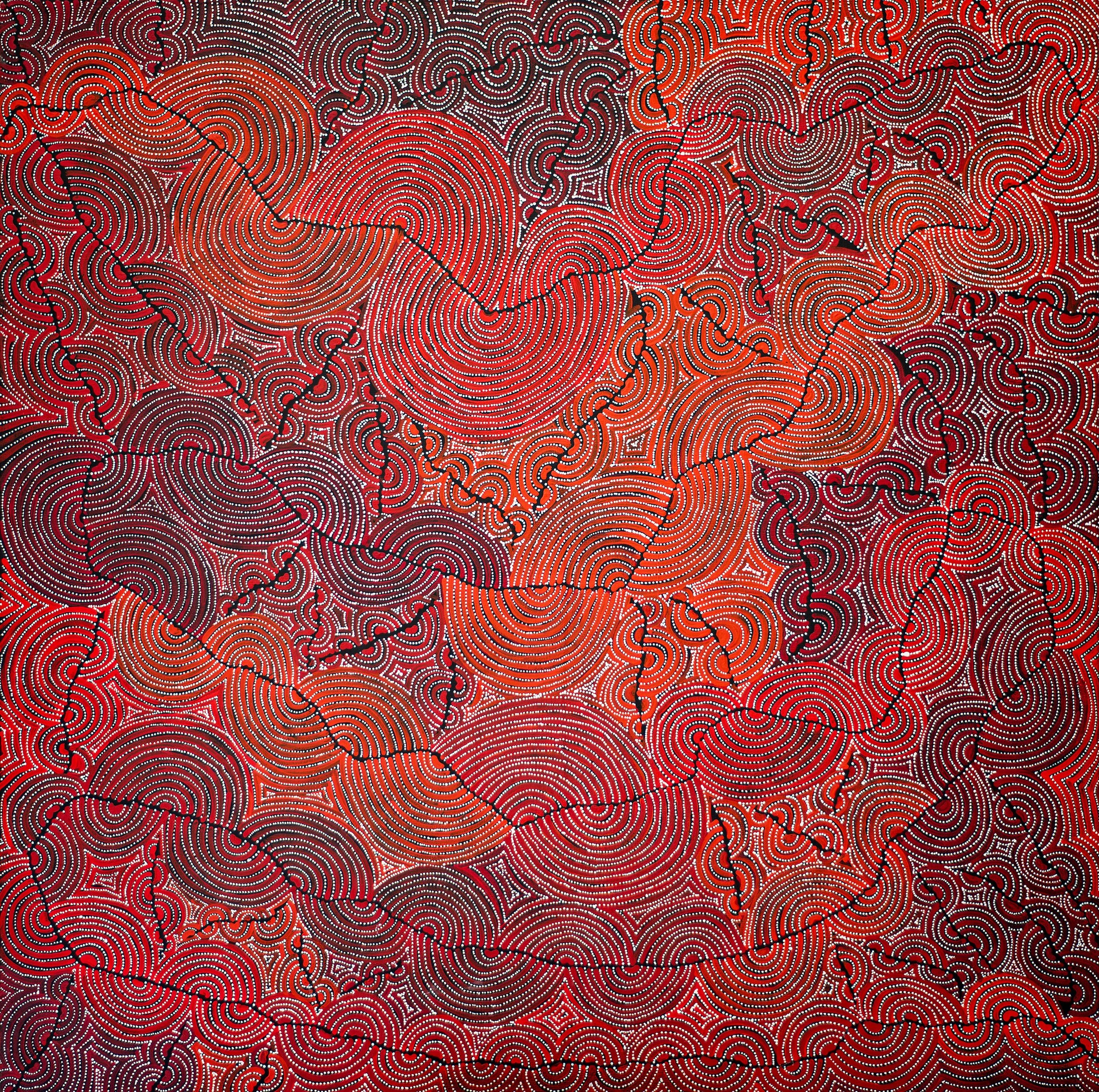 Christine Nakamarra Curtis - Mina Mina Jukurrpa (Mina Mina Dreaming) - 122 x 122 cm - 477/25ny