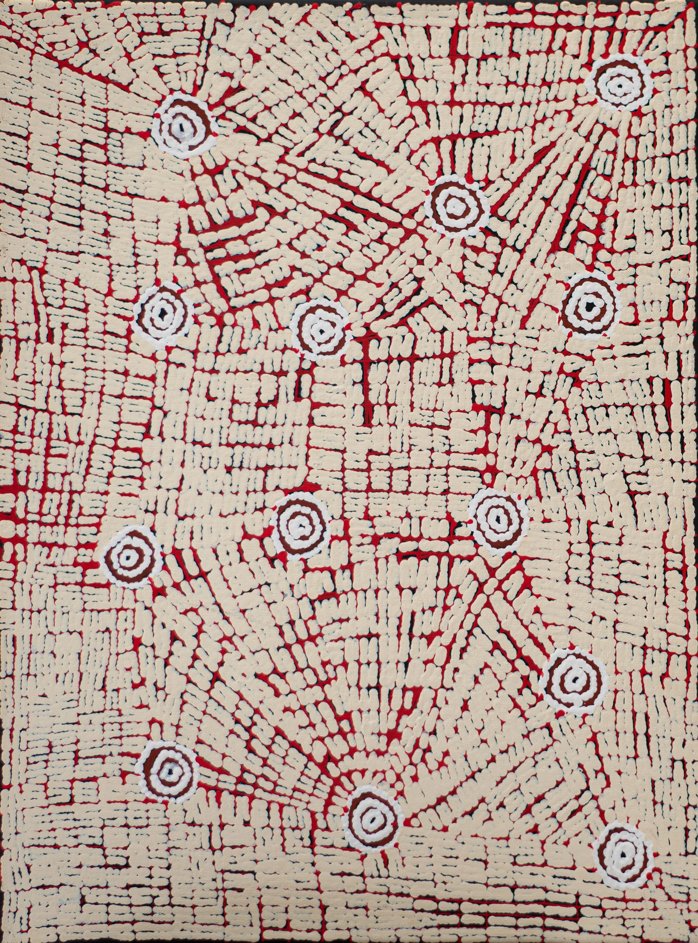 Narelle Nangala Brown - Watiya-warnu Jukurrpa (Seed Dreaming) - 61 x 46 cm- 2282/25