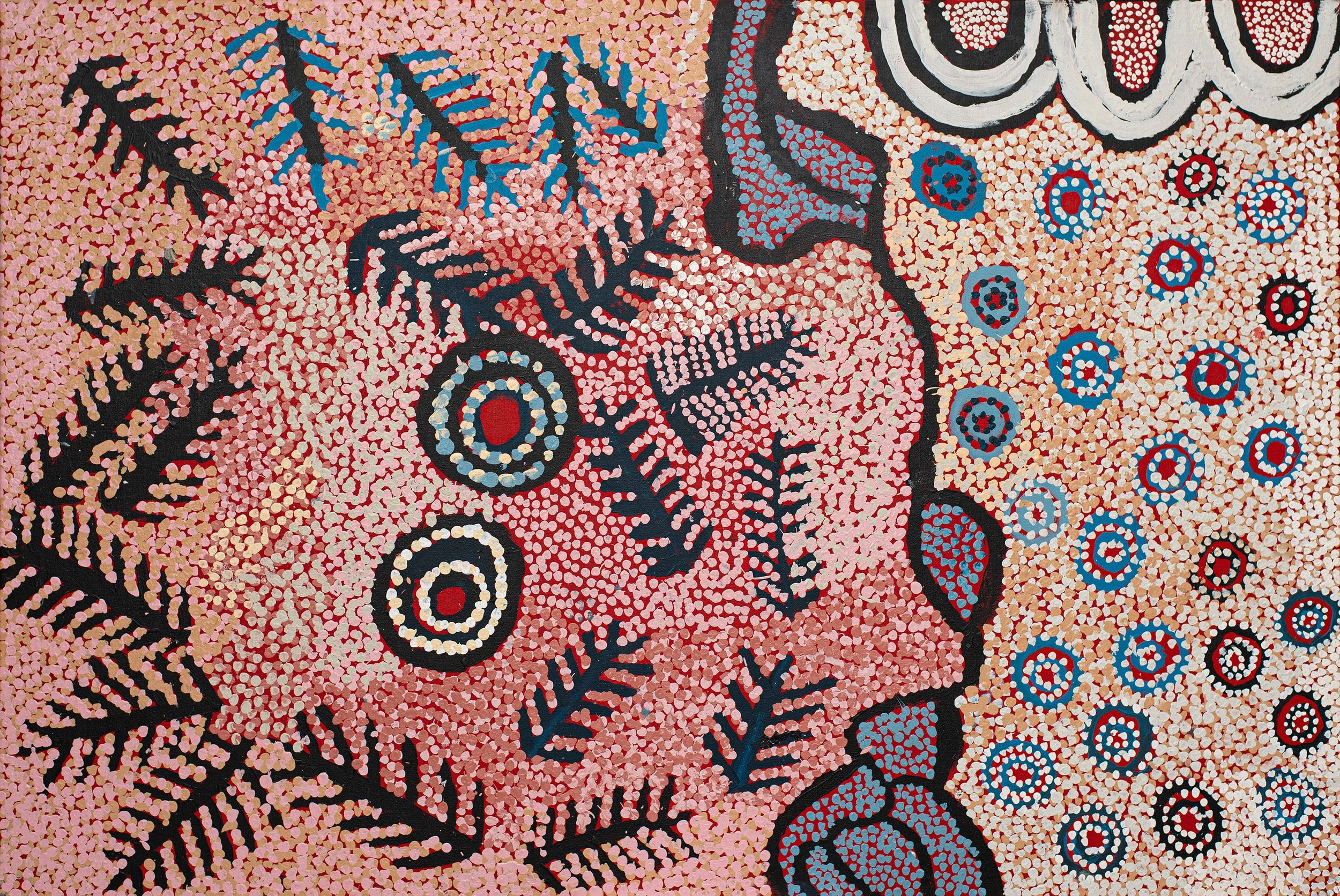 Helen Curtis - kapi tjukula - 150 x 100 cm - 12193