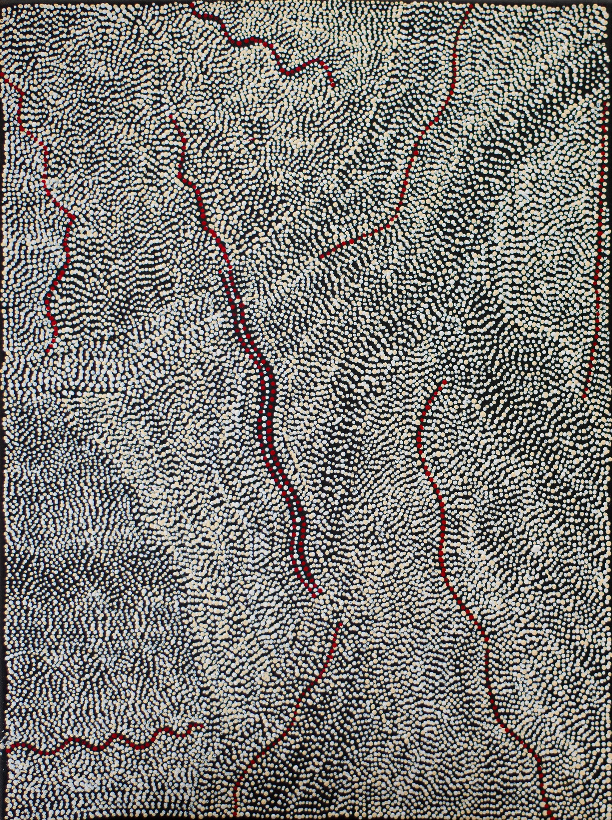 Margaret Napangardi Lewis - Mina Mina Jukurrpa (Mina Mina Dreaming) - 61 x 46 cm- 3000/25