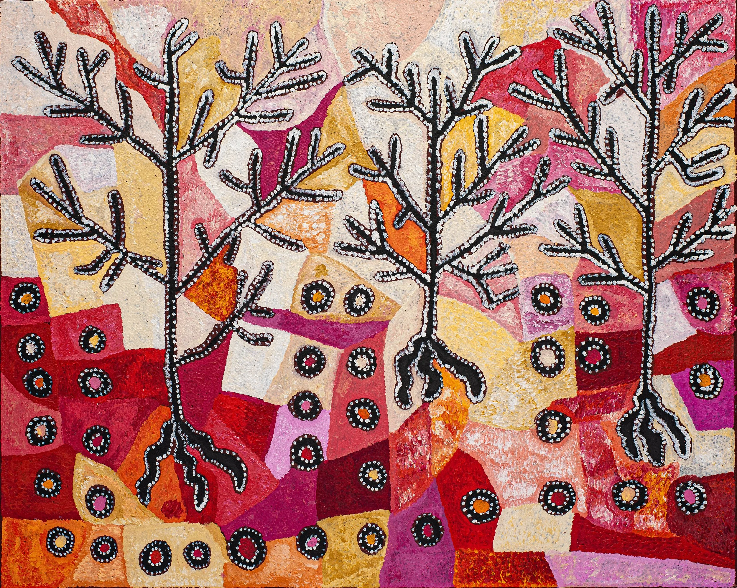 Eric (Mungi)  Barney (1973) - Ngura (Country) - 152 x 122 cm - 241-25