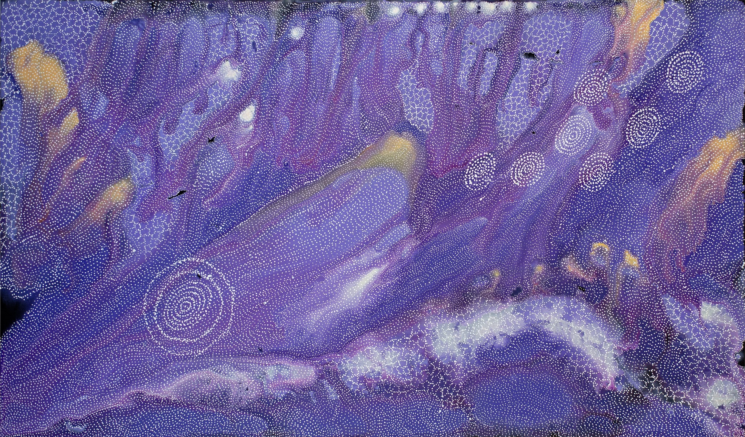 Athena Nangala Granites - Napaljarri-warnu Jukurrpa (Seven Sisters Dreaming) - 183 x 107 cm - 1316/24