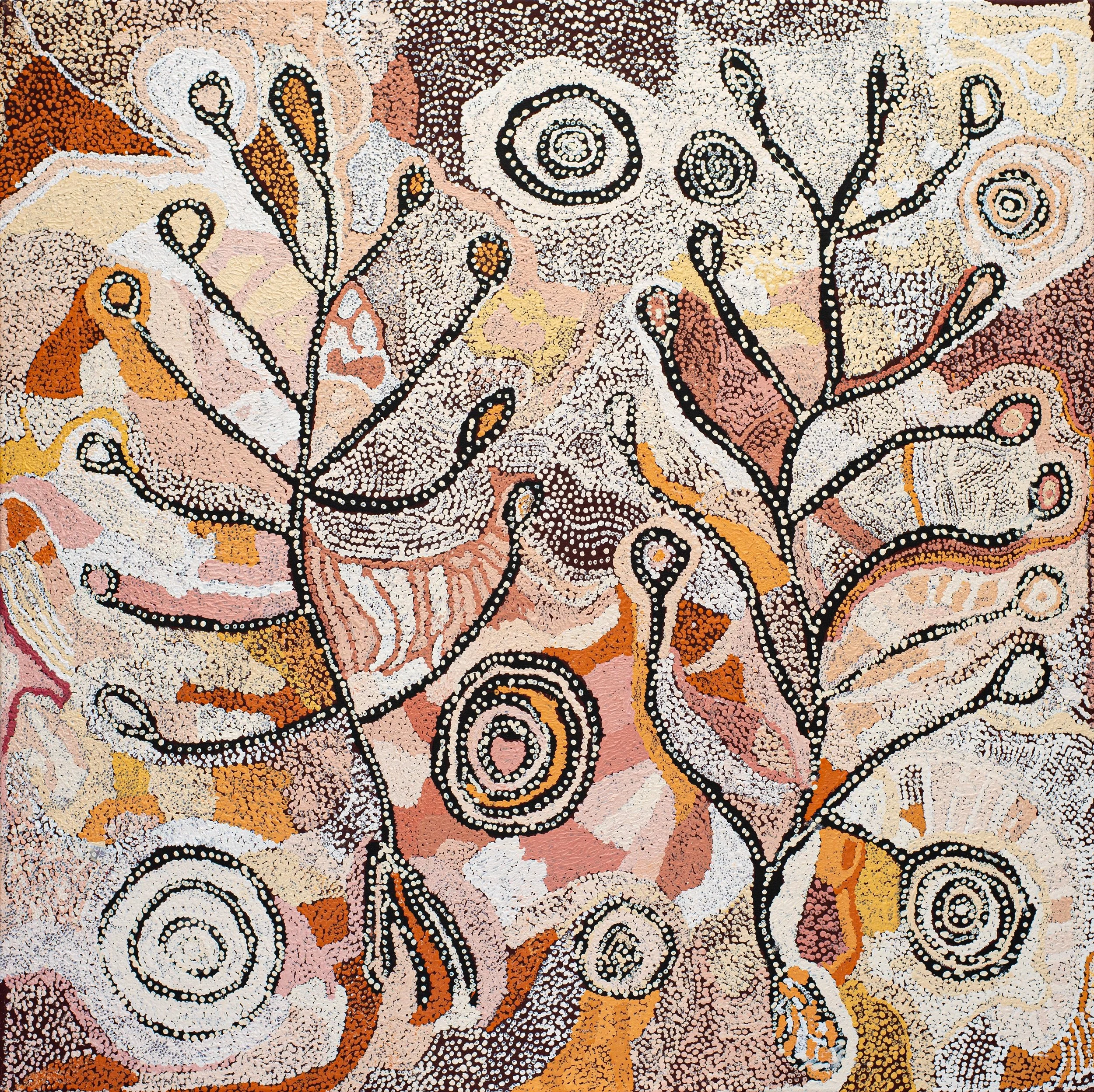 Nellie Ngampa Coulthard - Tjuntala Ngurangka (Country with Acacia Wattle) - 152 x 152 cm - 480-25