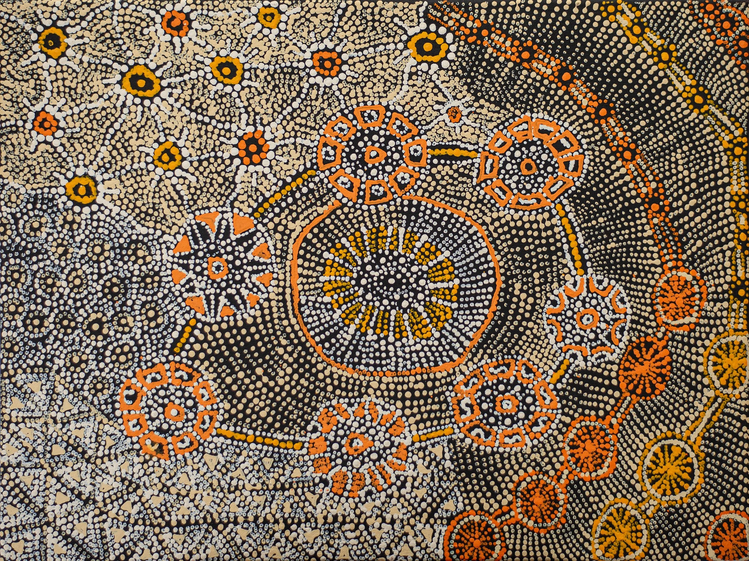 Hilda Nakamarra Rogers - Lukarrara Jukurrpa (Desert Fringe-rush Seed Dreaming) - 61 x 46 cm- 1768/25