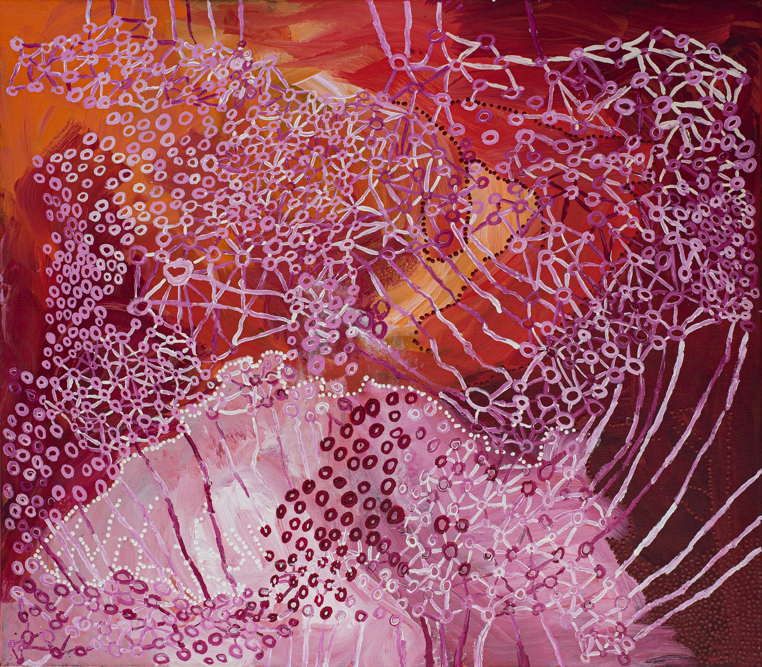 Steven Jupurrurla Nelson - Janganpa Jukurrpa Steven Nelson (common brush-tail possum Dreaming) - 122 x 107 cm - 7372/23