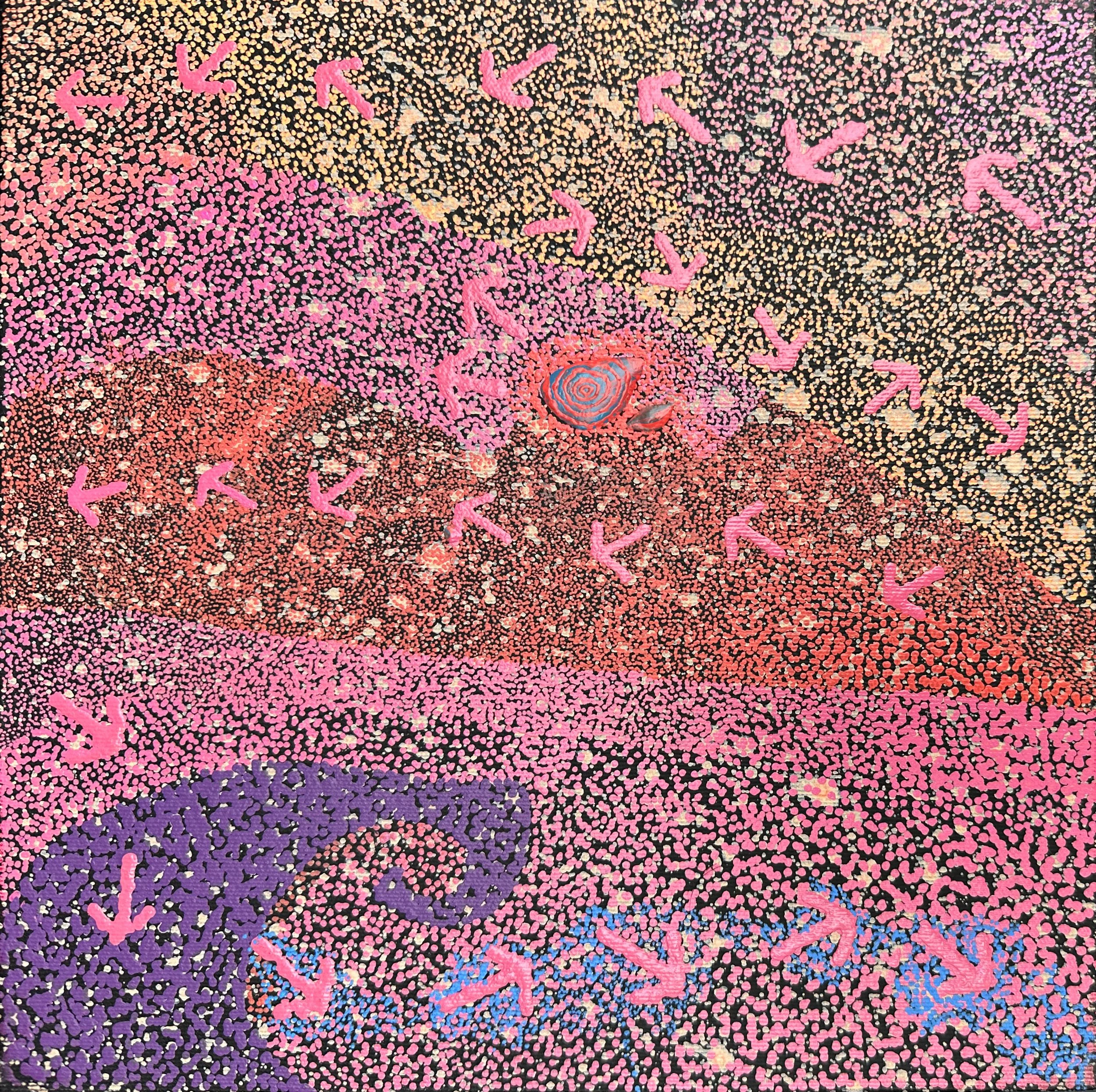 Lloyd Jampijinpa Brown - Yankirri Jukurrpa (Emu Dreaming) - Ngarlikirlangu - 30 x 30 cm - 1919/25