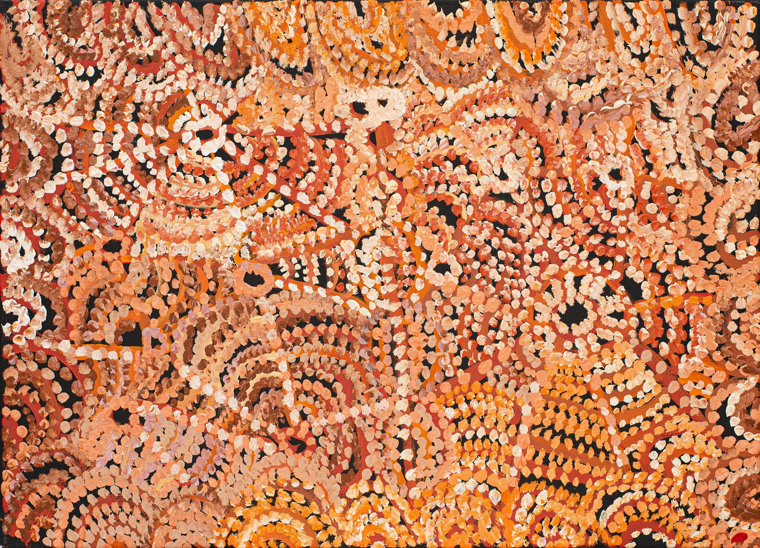 Emily  Cullinan (1952) - Ananyi Ngura (Traveling Country) - 91 x 67 cm - 776-25