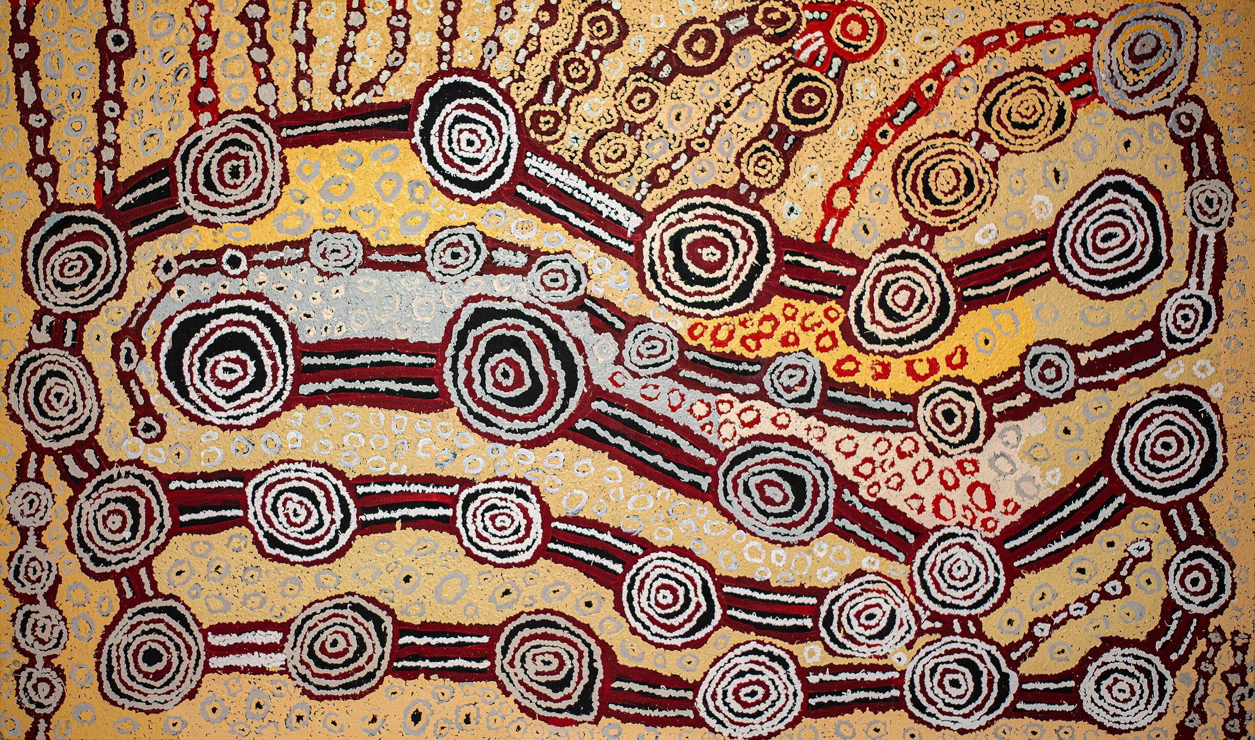 Beryl Jimmy - Kapi Tjukula - 200 x 120 cm - 12174