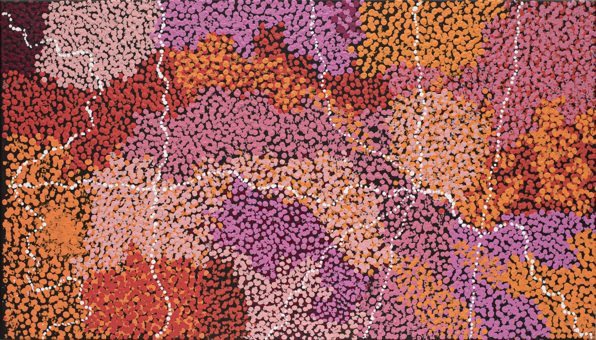 Ruth Nungarrayi Spencer - Wardapi Jukurrpa (Goanna Dreaming) - Yarripilangu - 107 x 61 cm - 1284/24