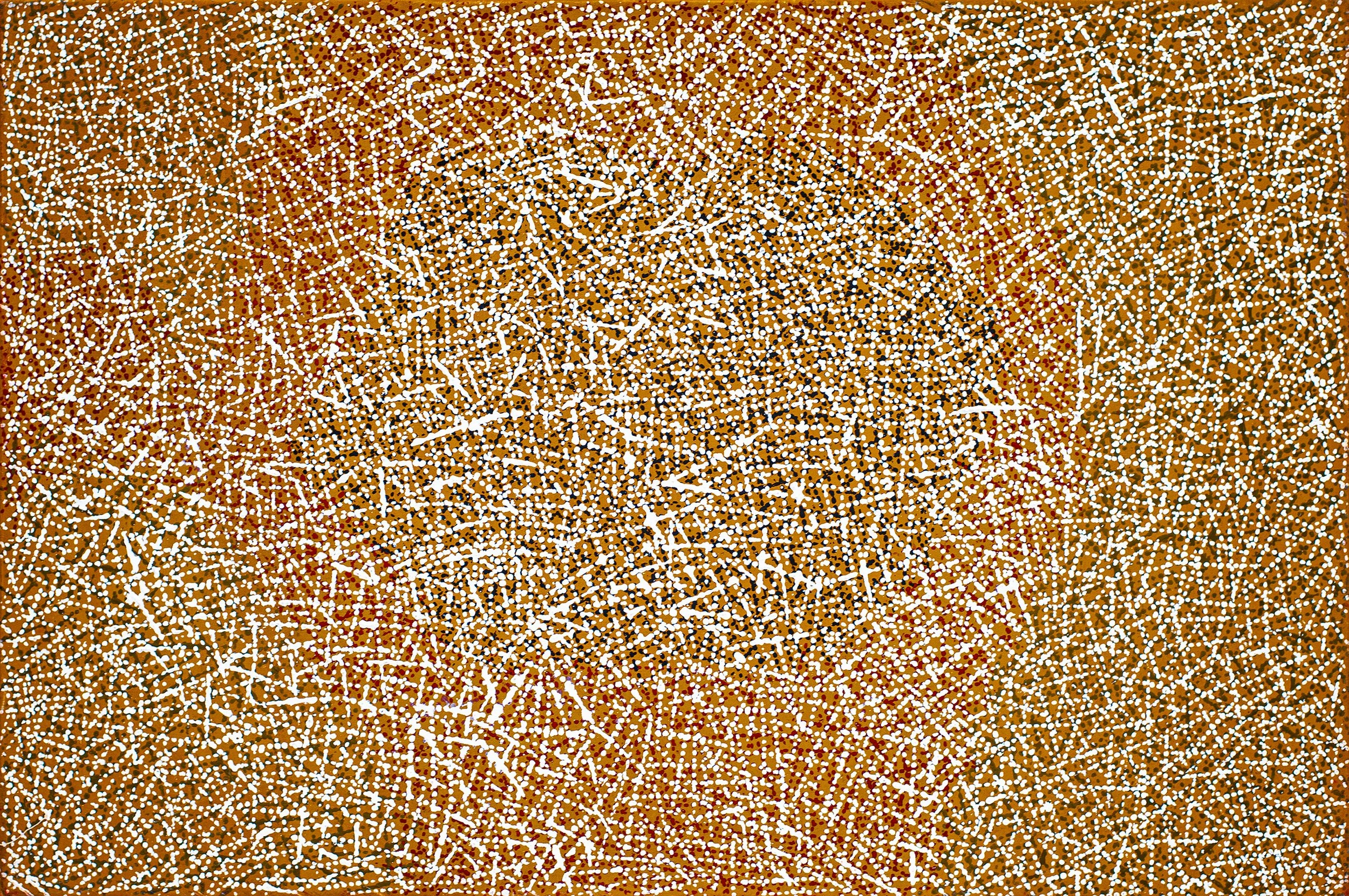 Christine Puruntatameri - Pwoja Jilamara - 120 x 80 cm - 24-111