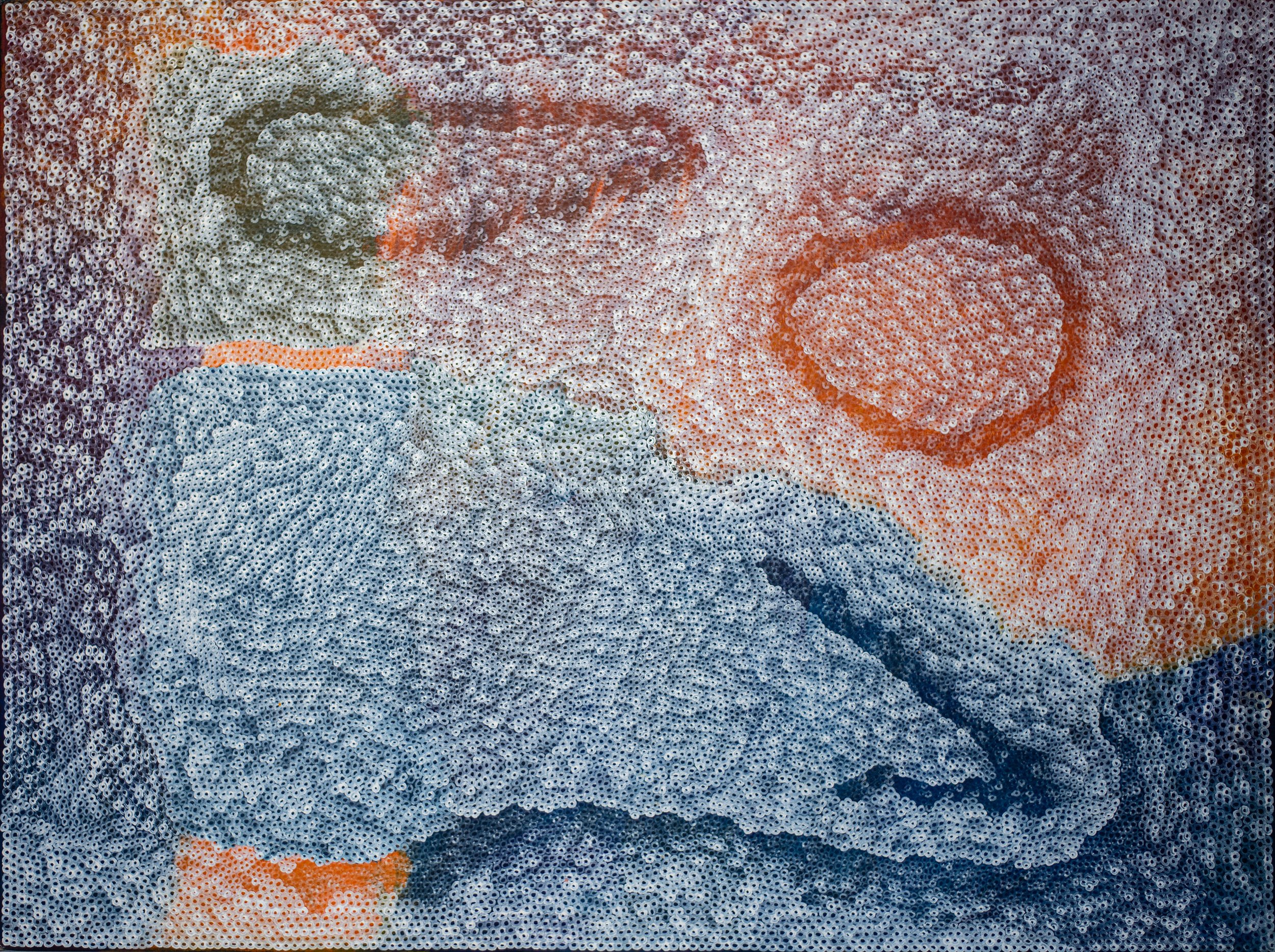 Amy Yilpi - Maku - 198x152cm - 492-26