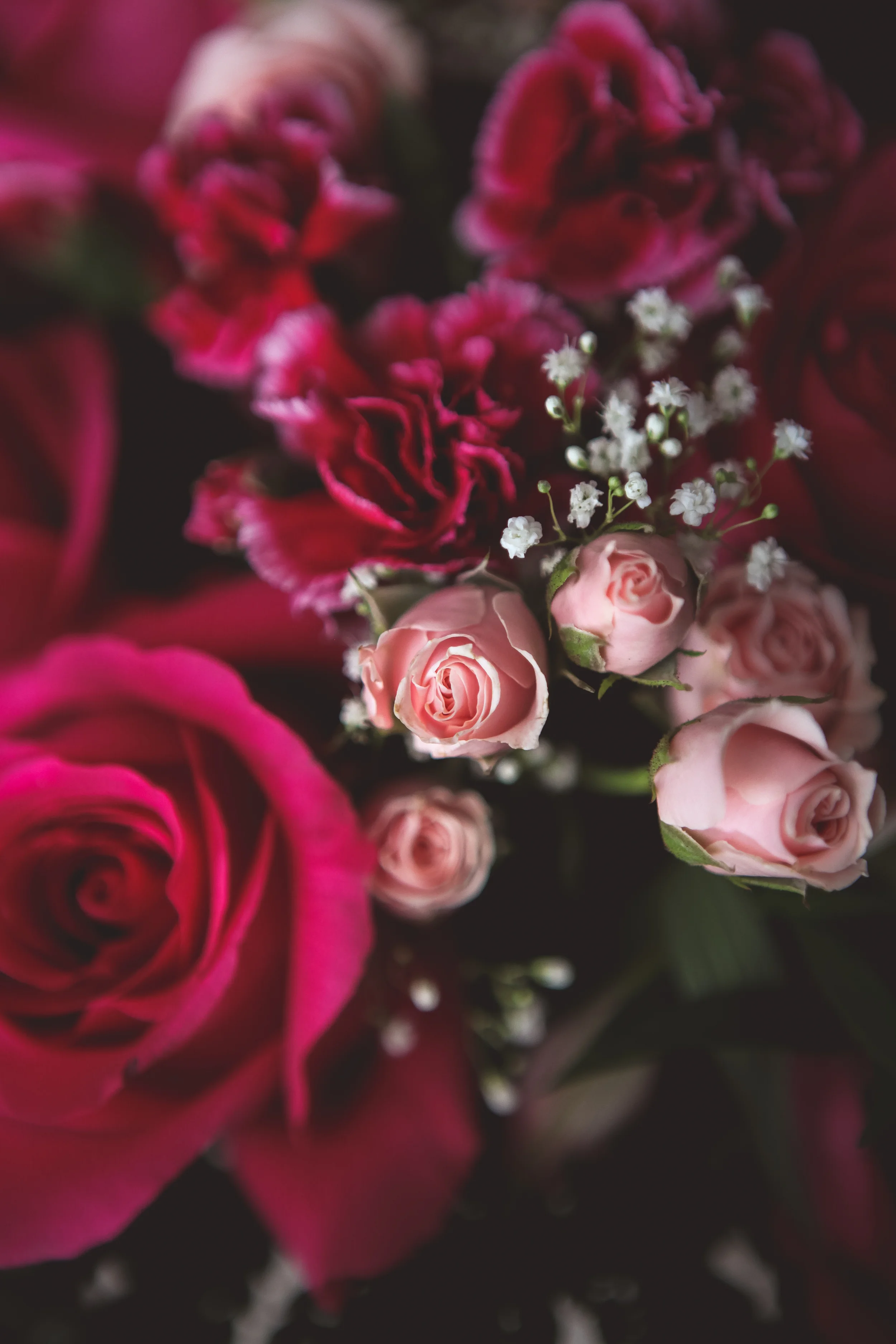 VDAY2015-60.jpg