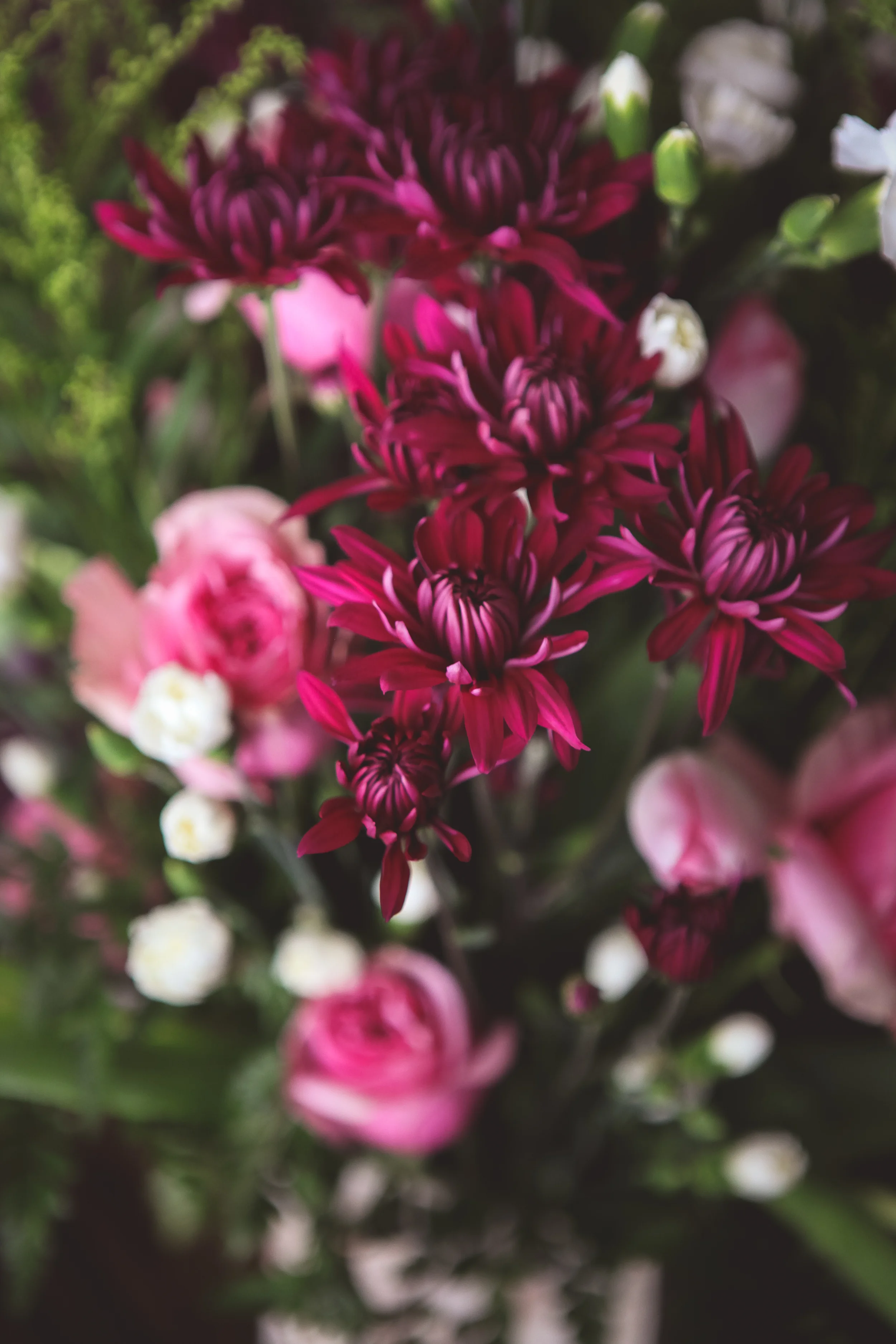 VDAY2015-63.jpg