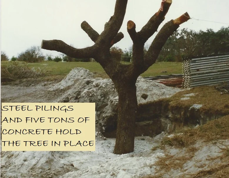 STEEL PILINGS.jpg