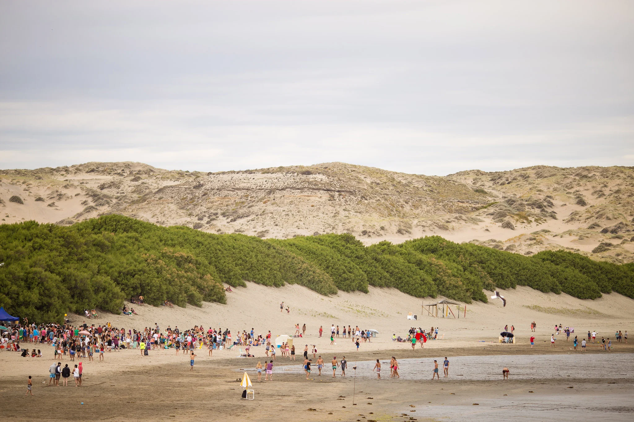 wedding-travellers-argentina-peninsula-valdes