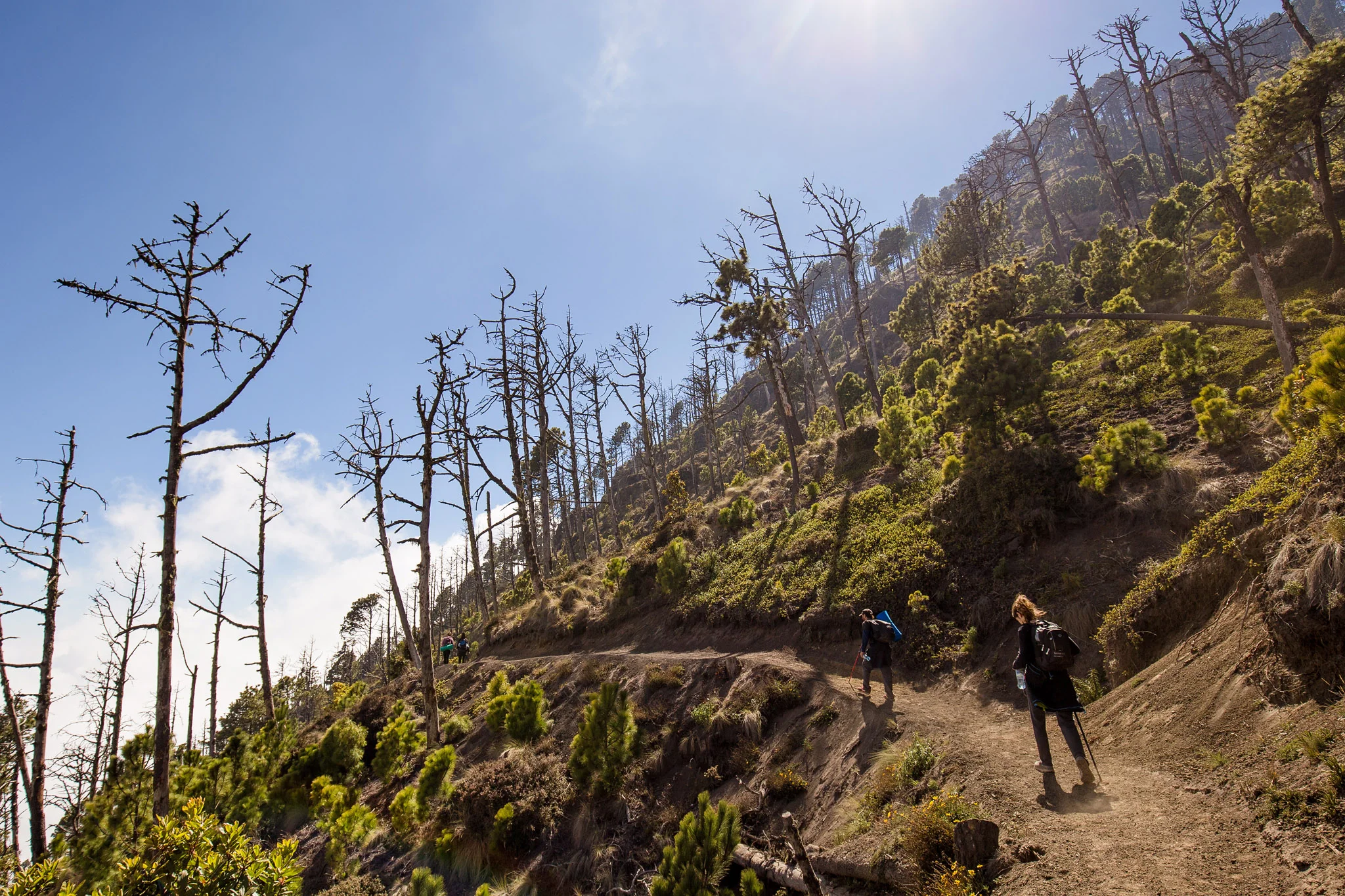 Acatenango-2.jpg