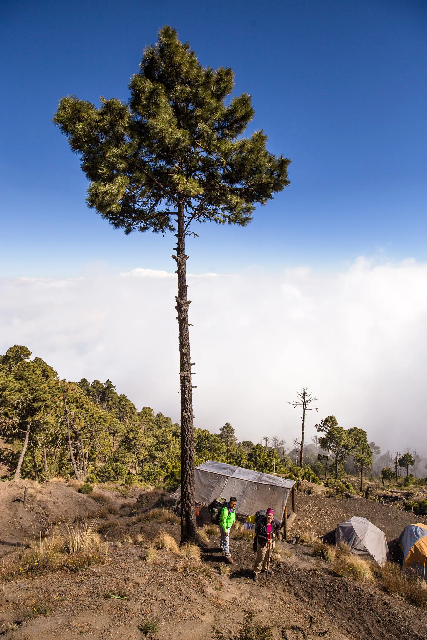 Acatenango-6.jpg
