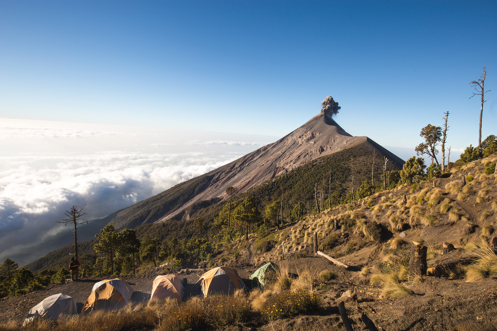 Acatenango-82.jpg