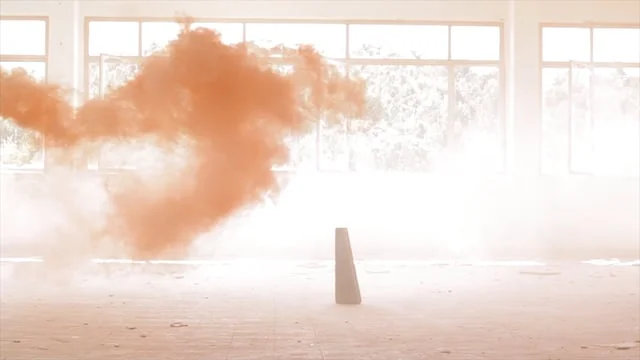 Piloh | Forest memories | chapter III