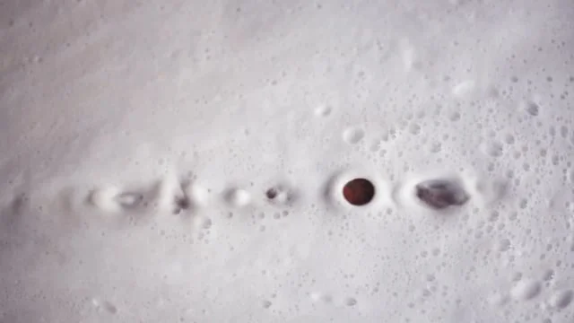 Piloh | Forest memories | chapter V