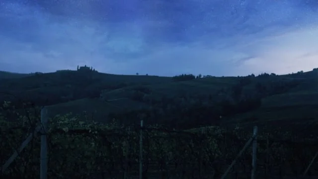 Luxoro | Barolo Balena