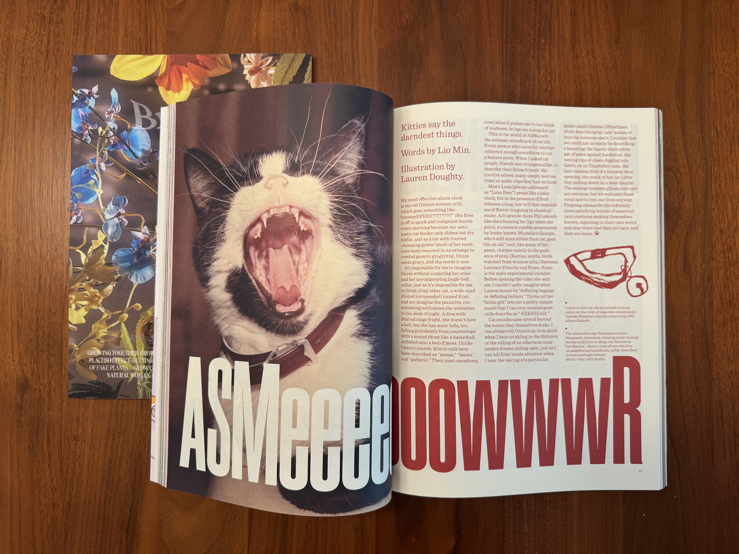 Spread from Catnip Magazine Issue 01 (Anja Charbonneau)