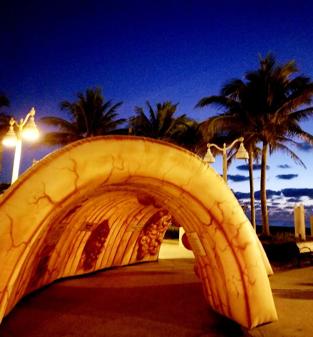 ColonOnTheBeach.jpg