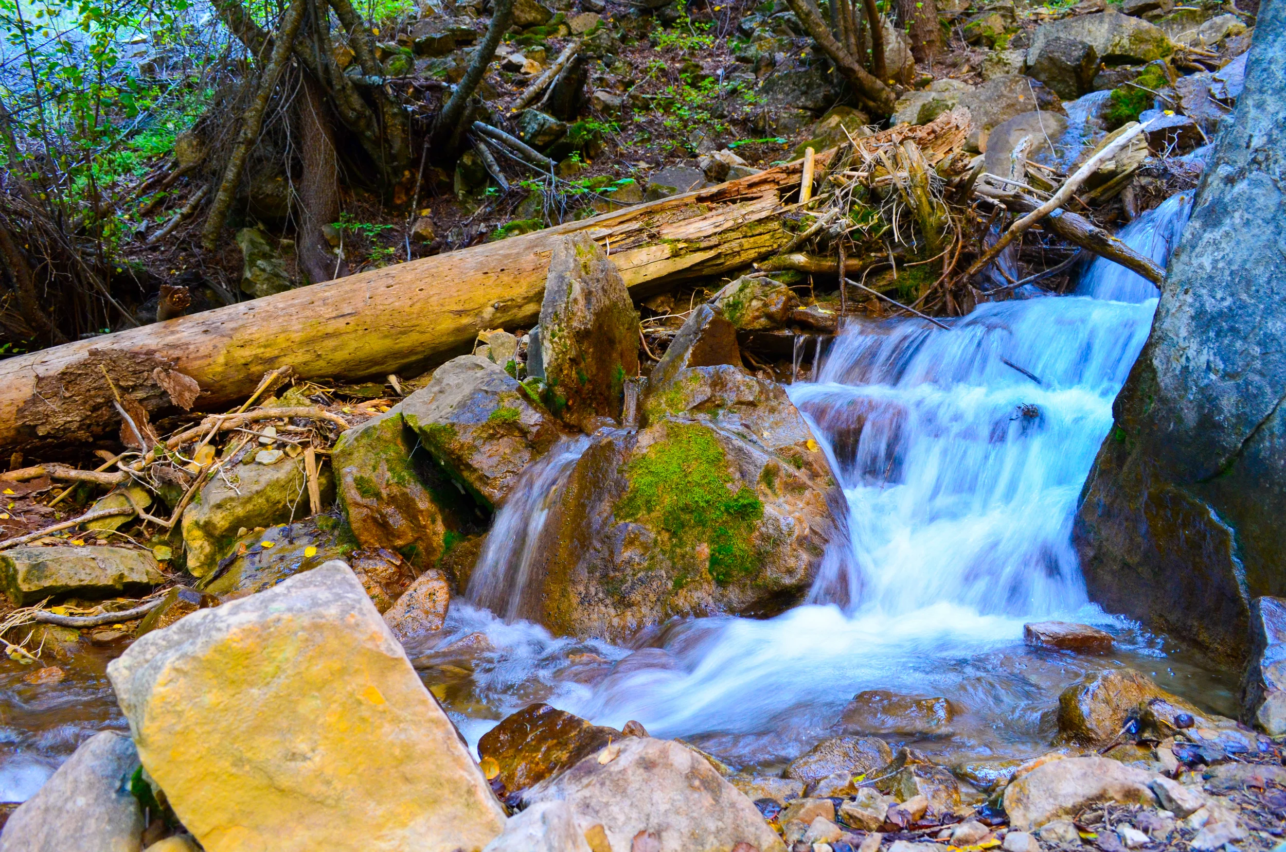 DSC_0402.jpg